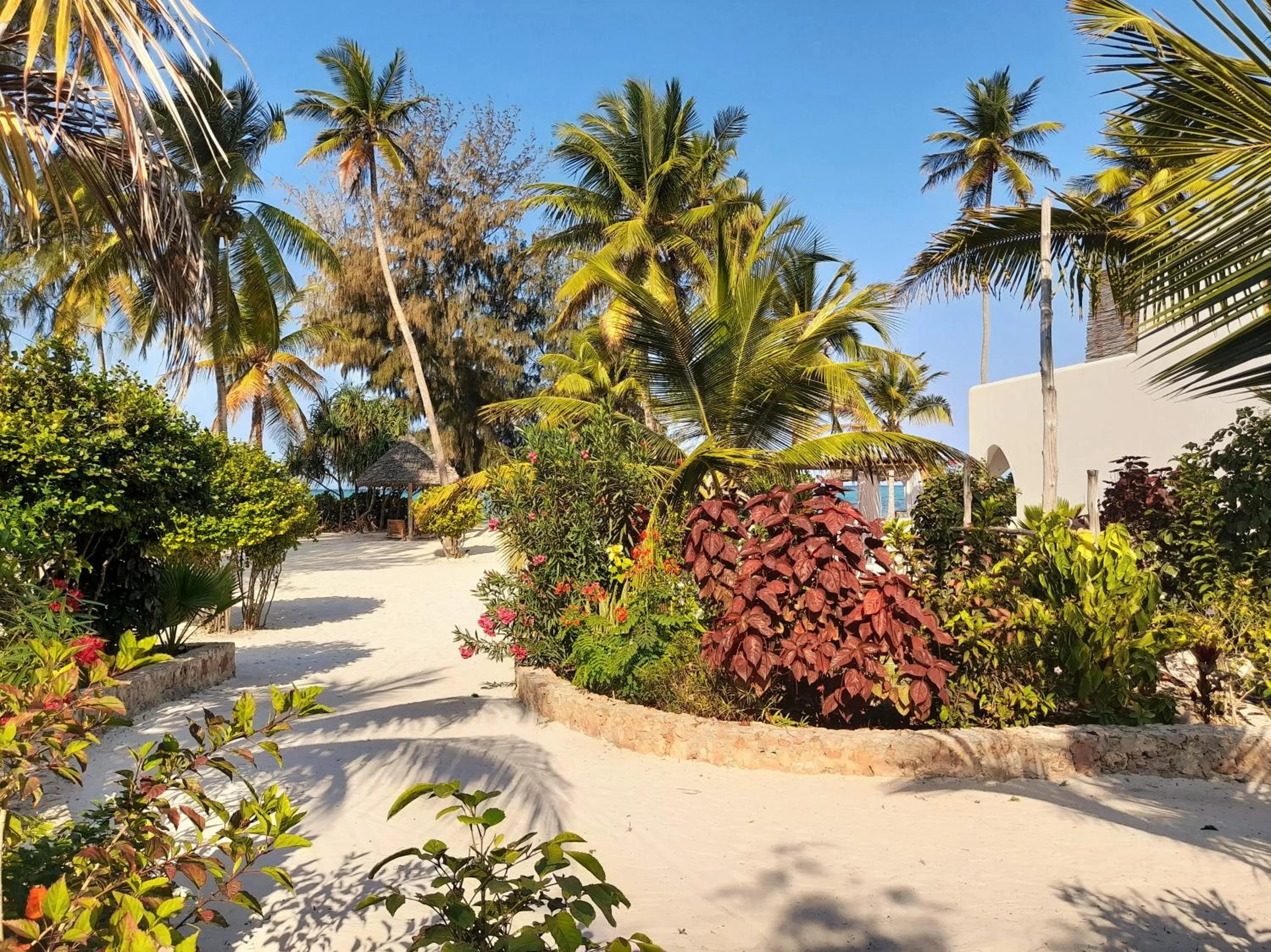 Garden in Kijani Beach Villas