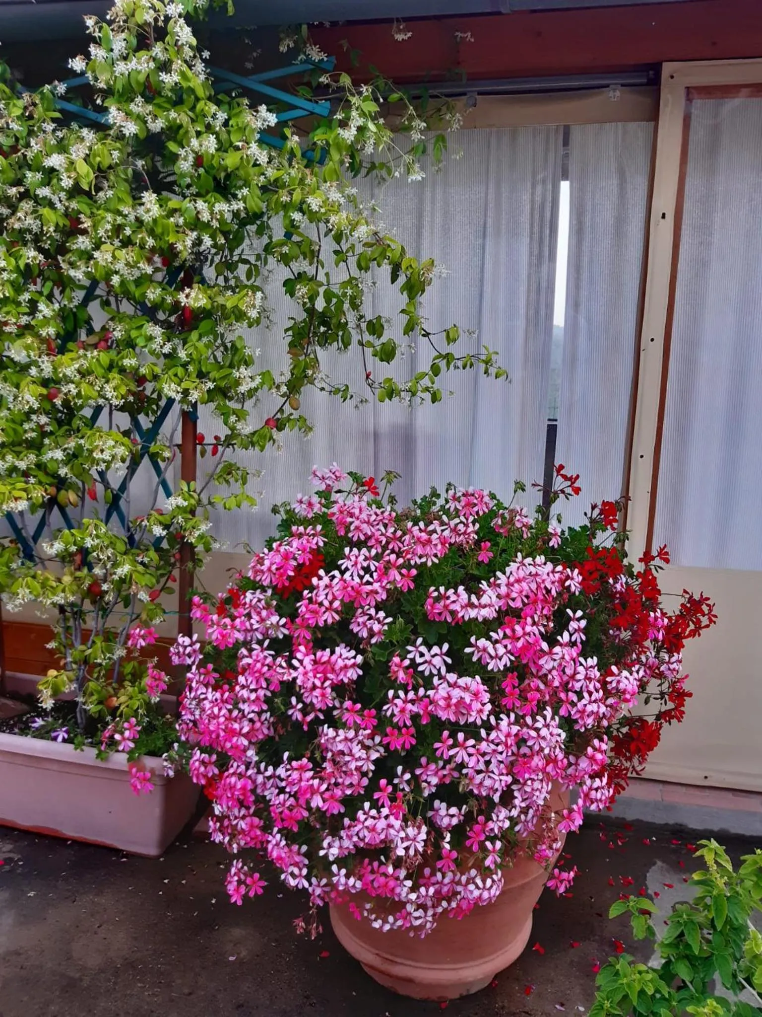 Property building in B&B I Coppi