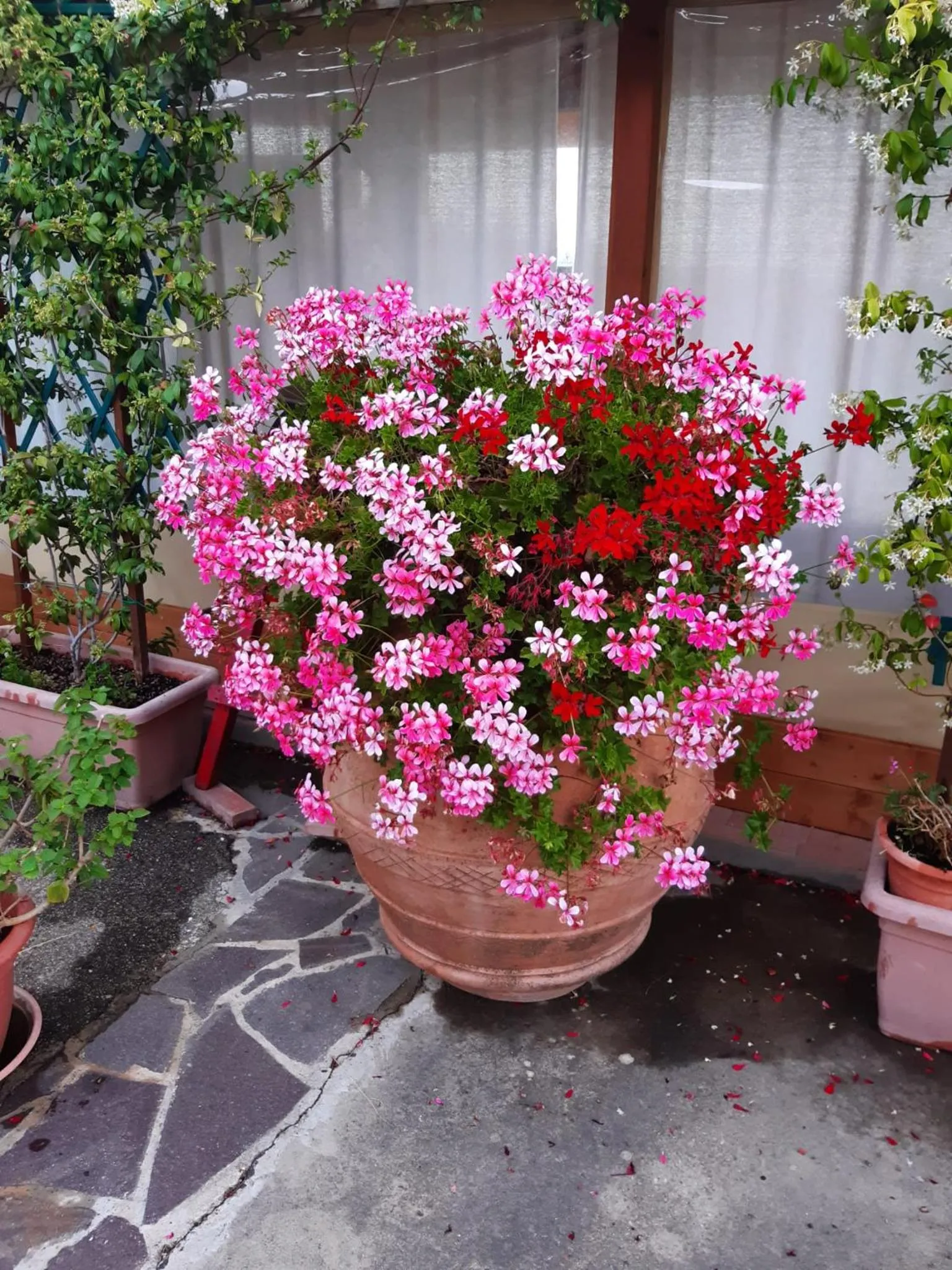 Property building in B&B I Coppi