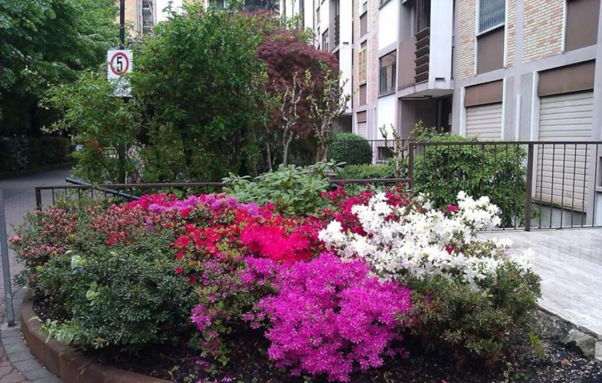 Garden in B&B Giolì