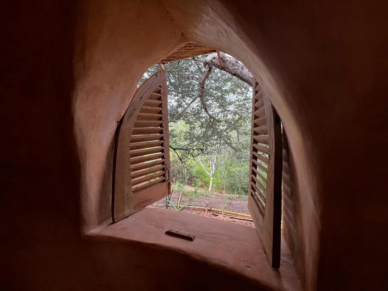 Distant Relatives Ecolodge & Backpackers