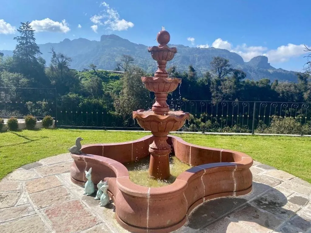 Garden in Hotel Danini