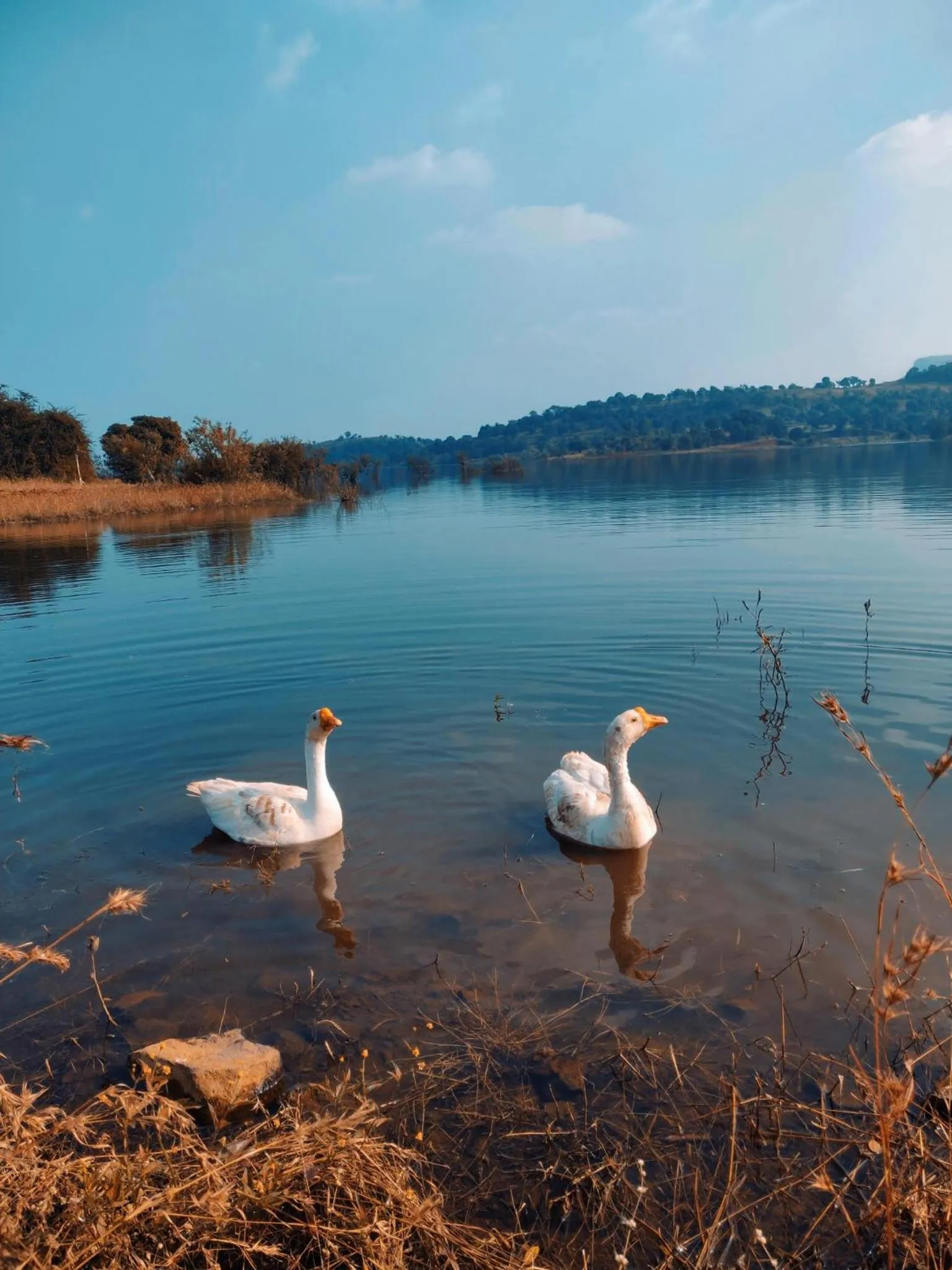 Lake view in Mountain N Lake Resort