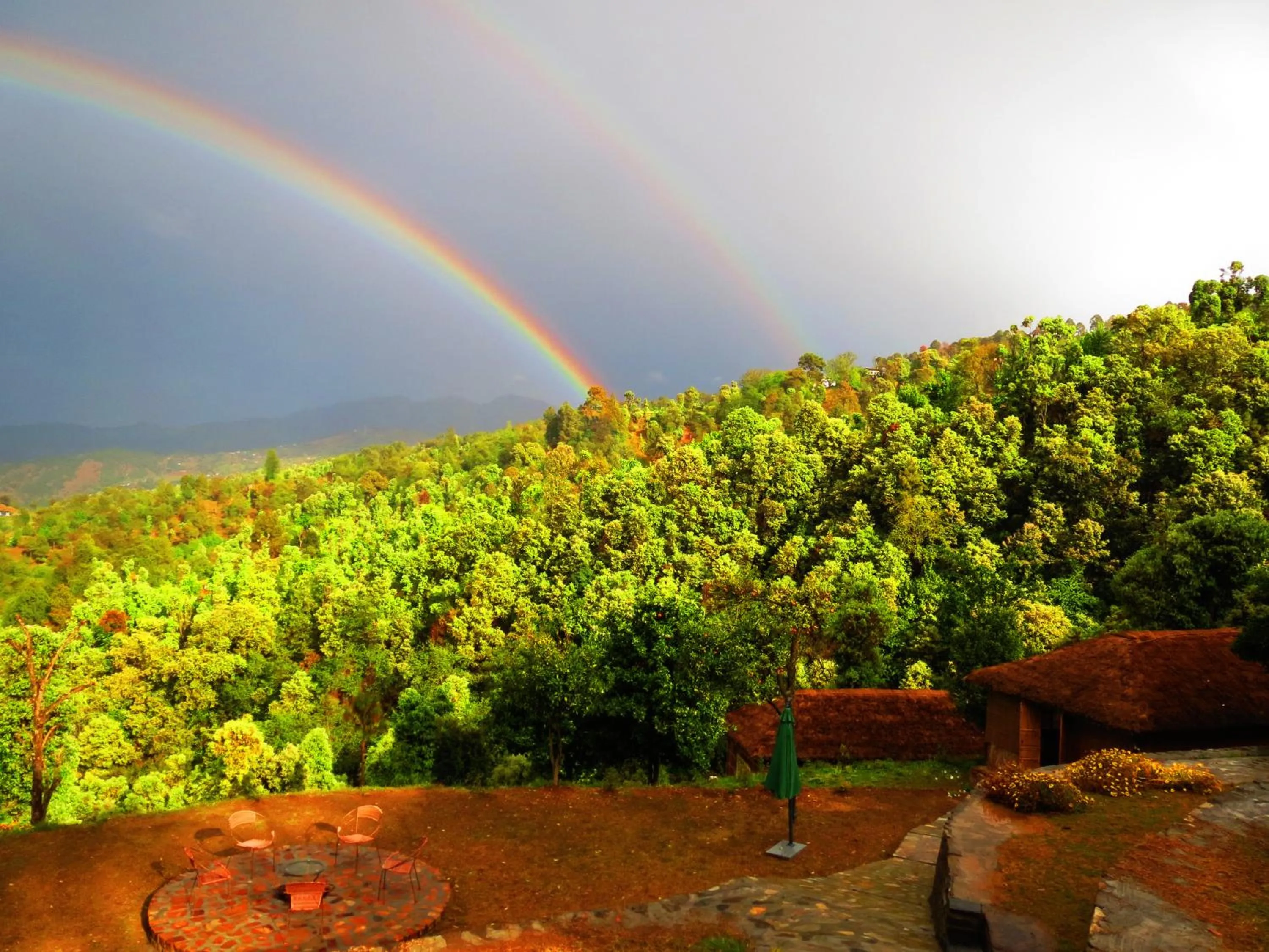 View (from property/room) in Himalaya Darshan Resort
