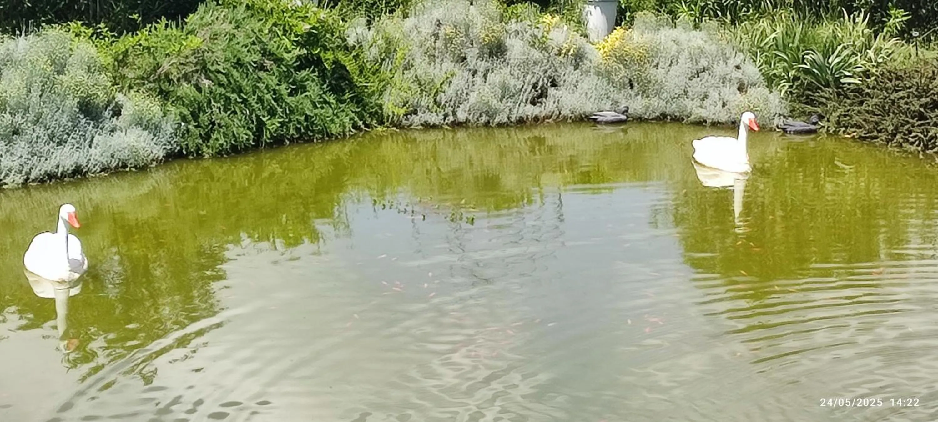 Domaine Le Lanis Chambre d'hôtes avec spa sur réservation