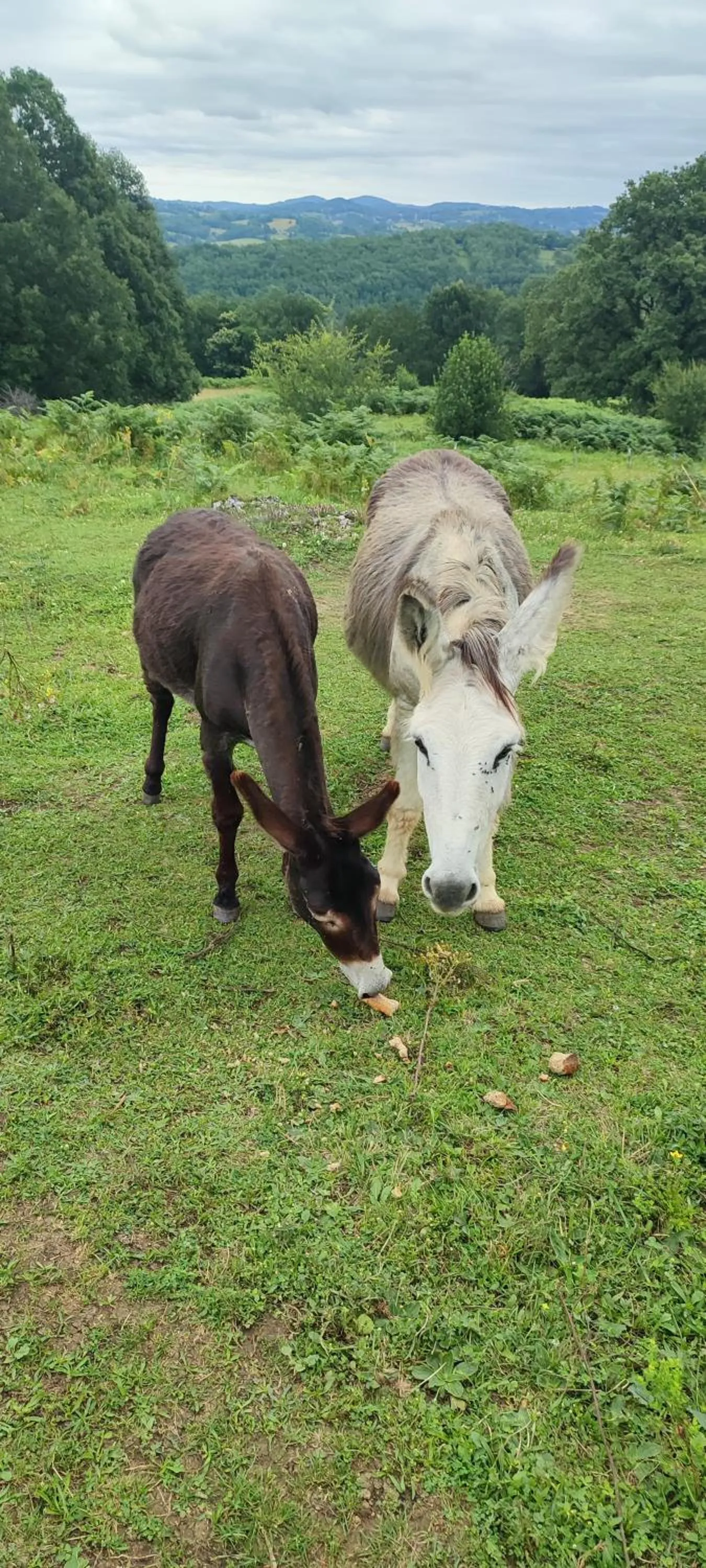 Domaine Le Lanis Chambre d'hôtes avec spa sur réservation