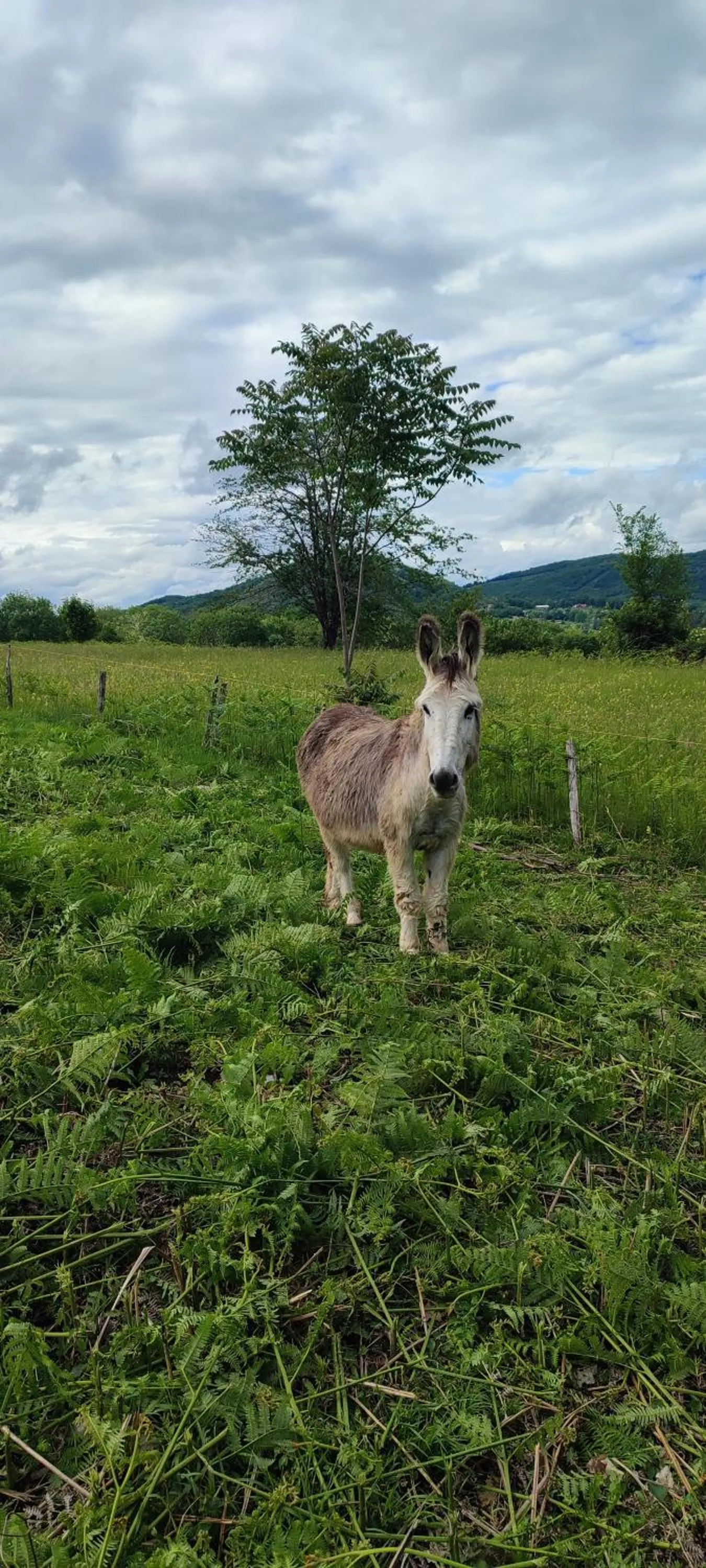 Domaine Le Lanis Chambre d'hôtes avec spa sur réservation
