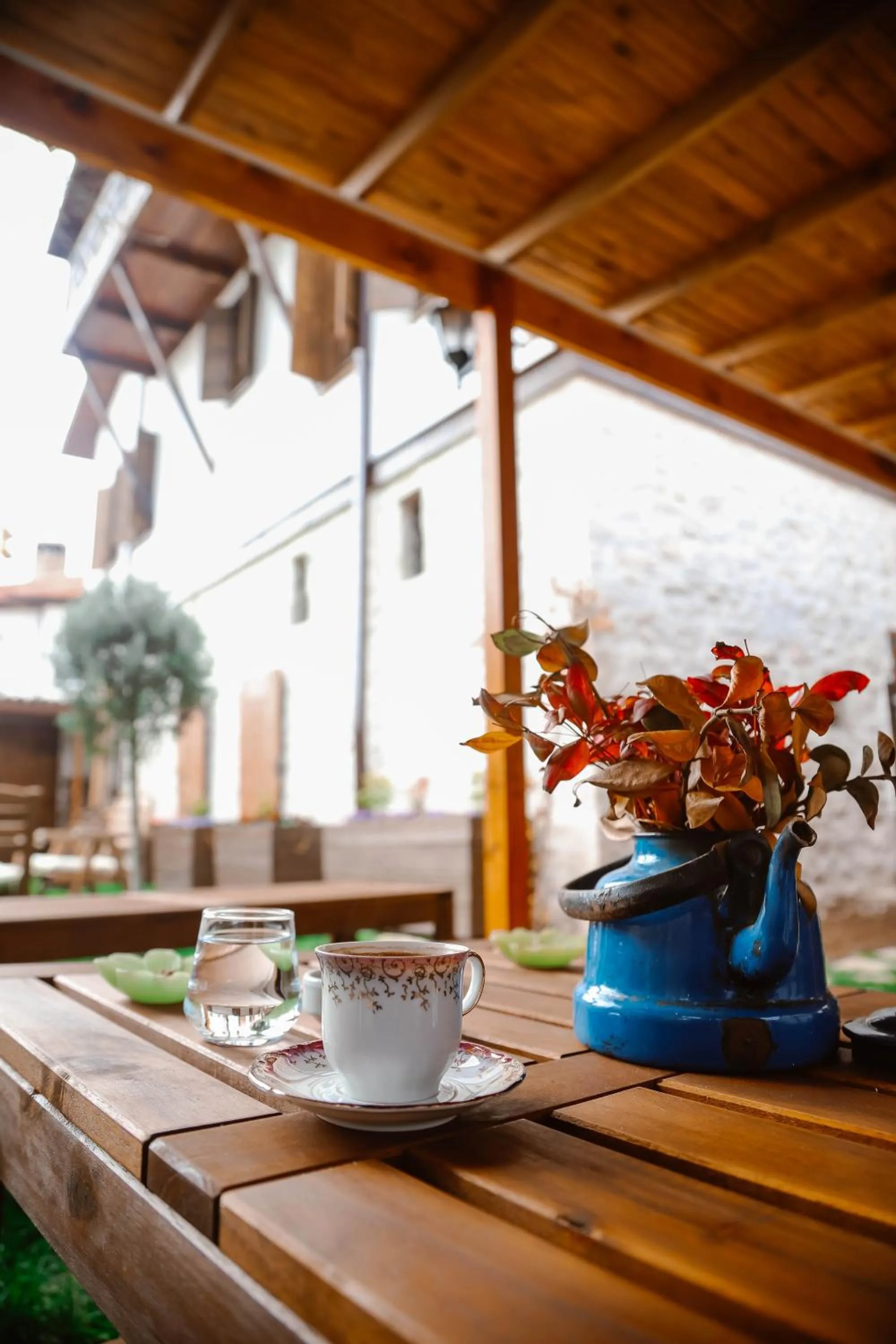 Garden in Konak Bindallı
