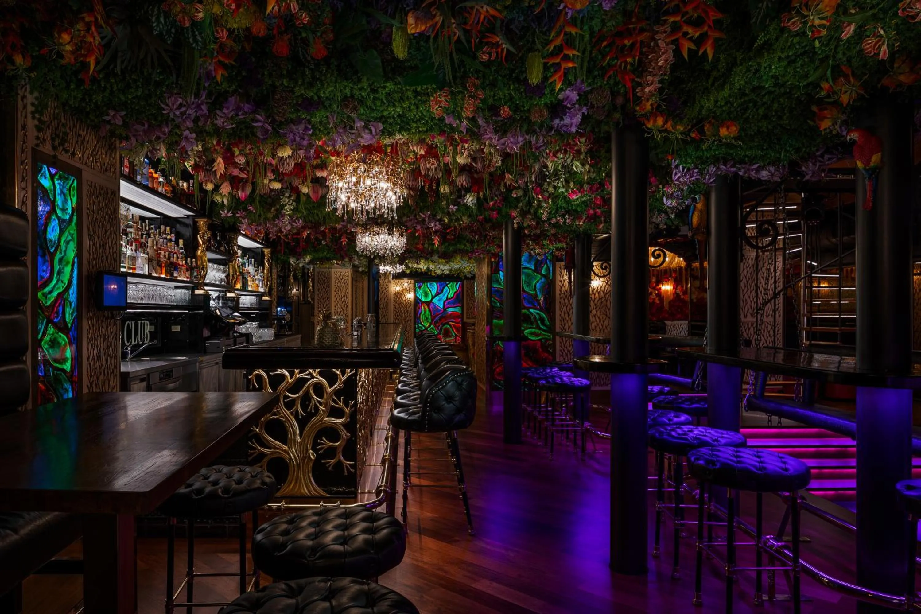 Nightclub / DJ in Hotel U Zlatého Stromu Prague by BHG