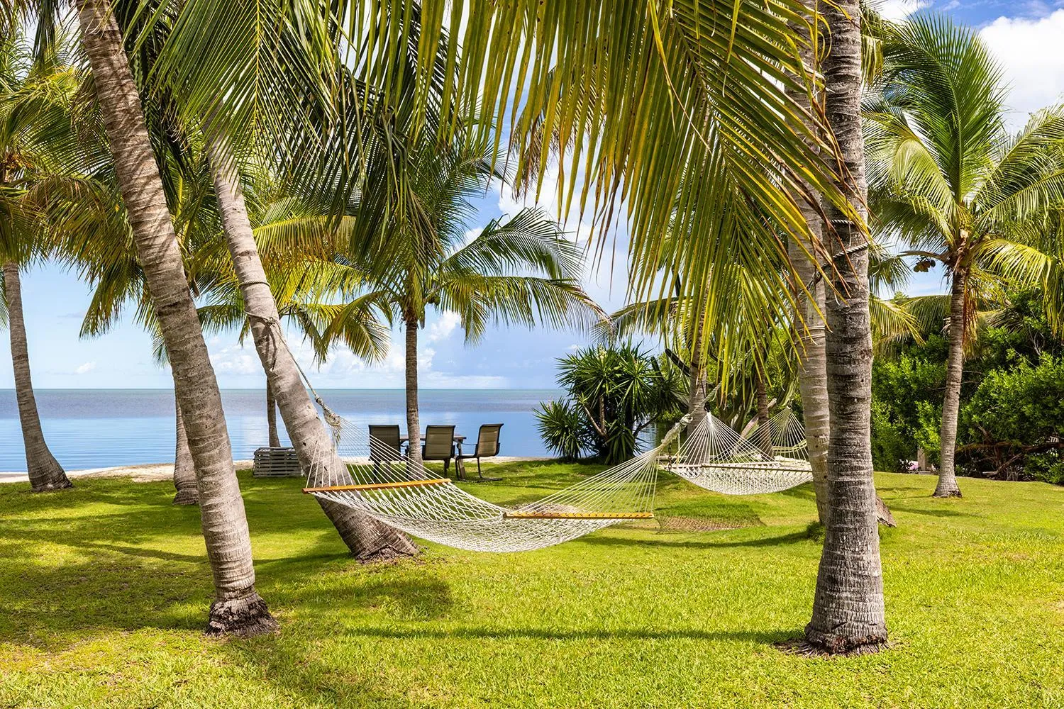 Natural landscape in Gulf View Waterfront Resort