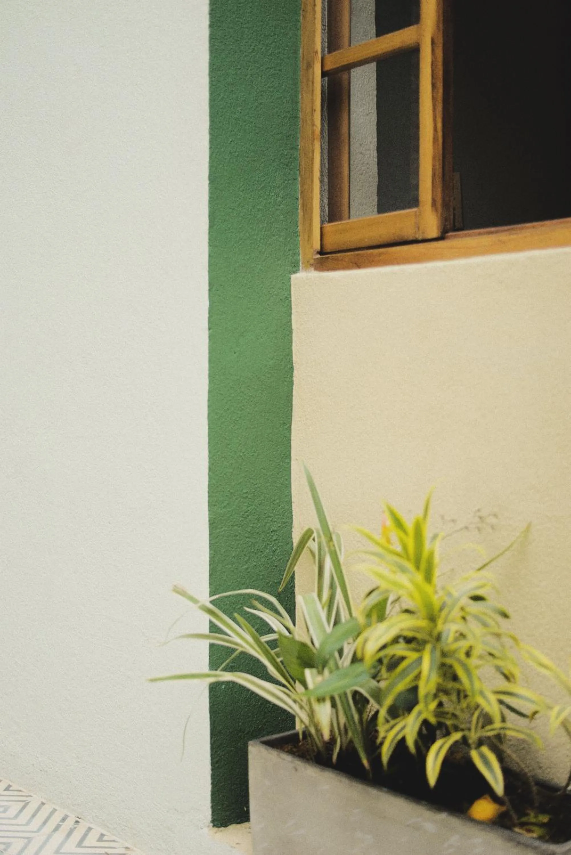 Inner courtyard view in La Casa del Totumo