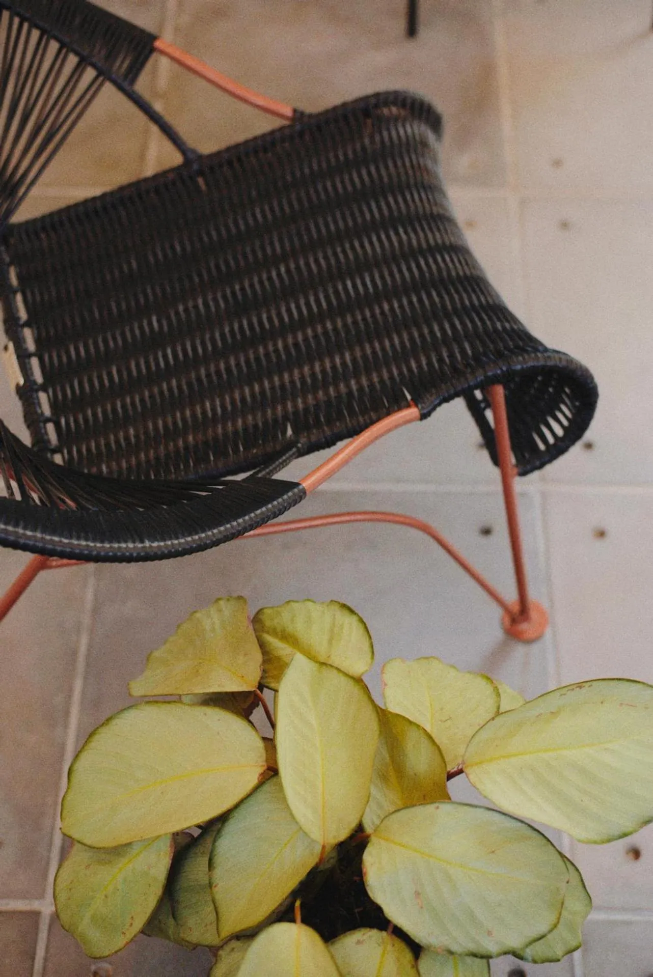 Living room in La Casa del Totumo