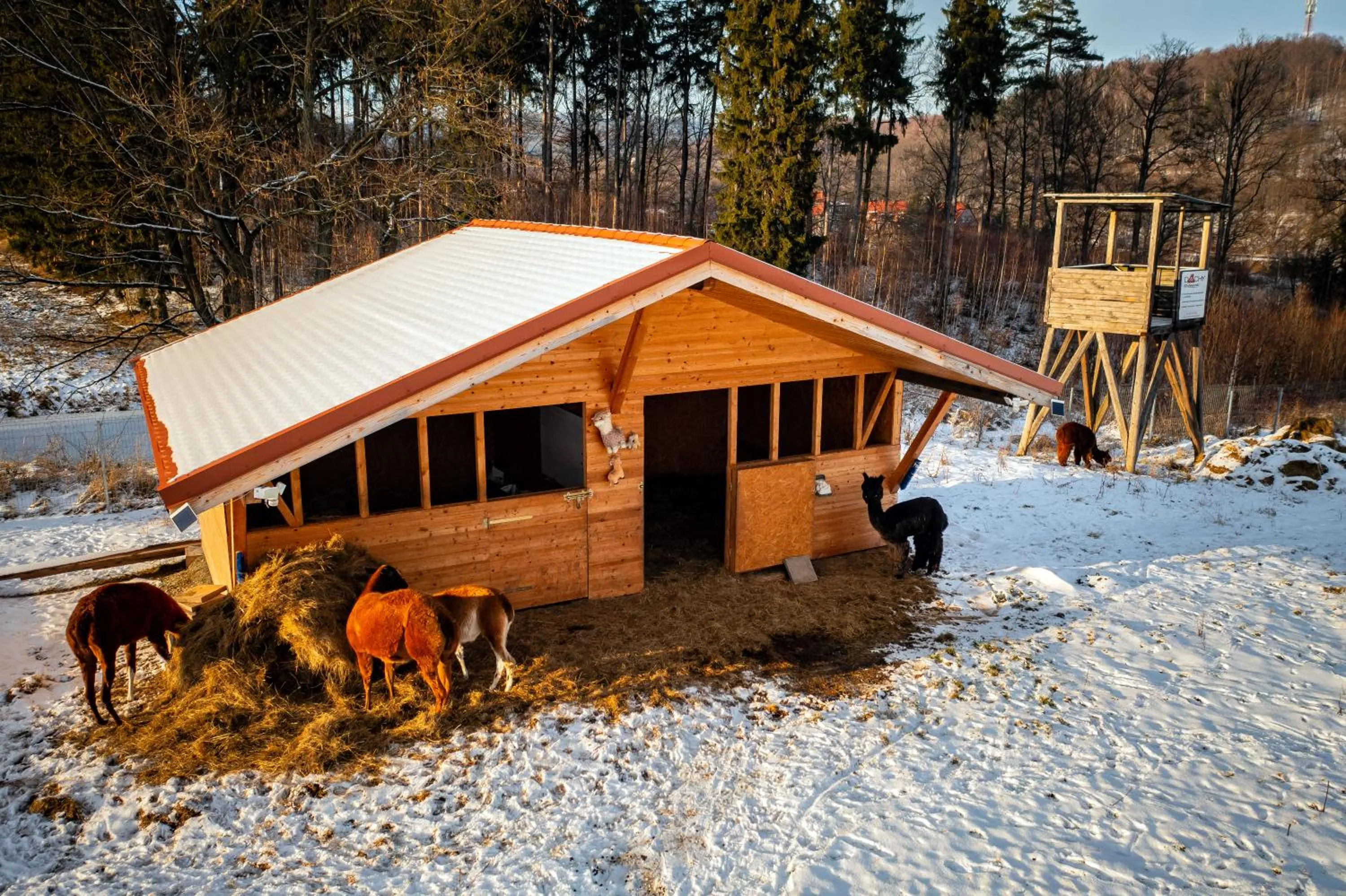 Nearby landmark in Hotel Jedlinka