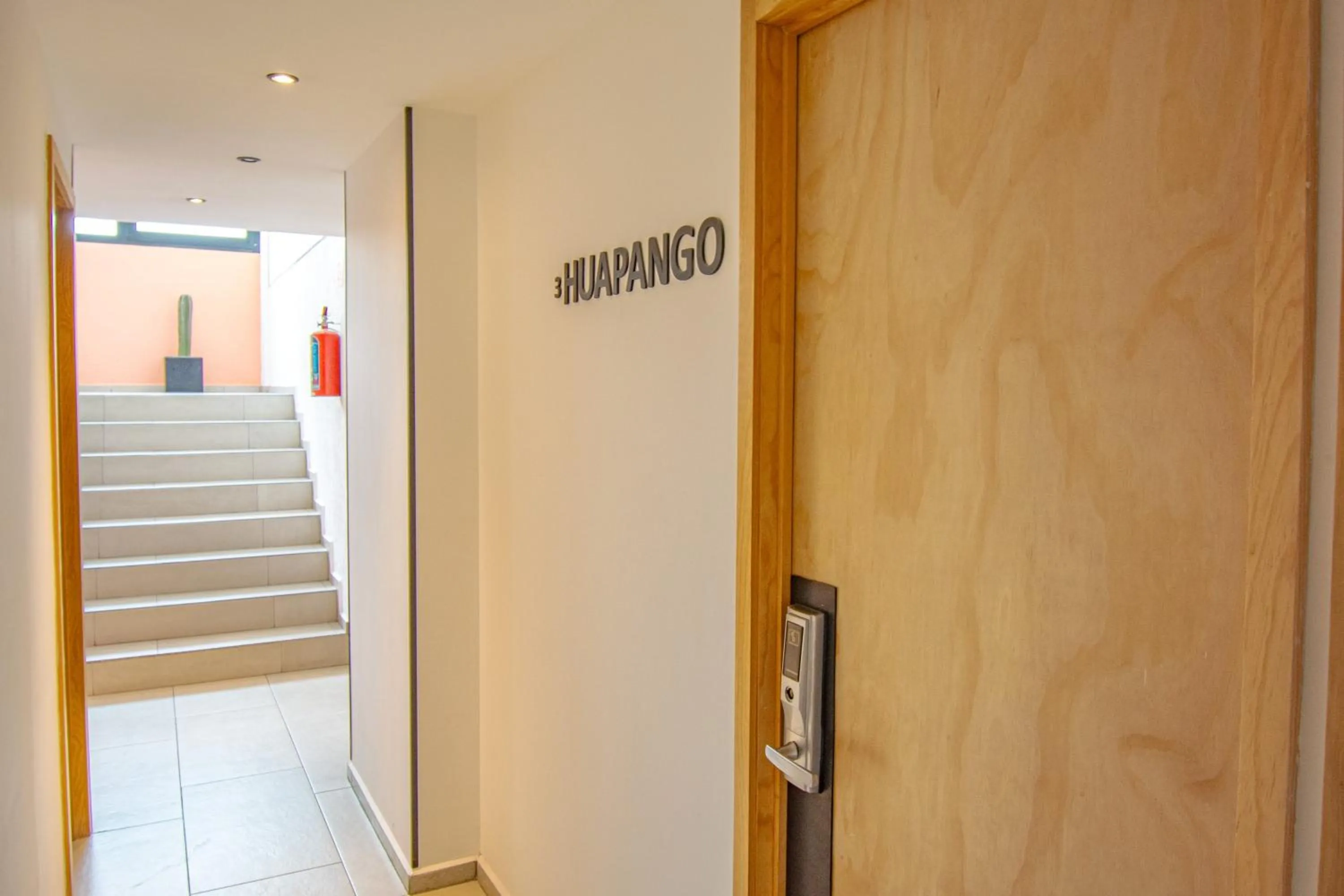 Area and facilities in Capital O Hotel Terraza 158