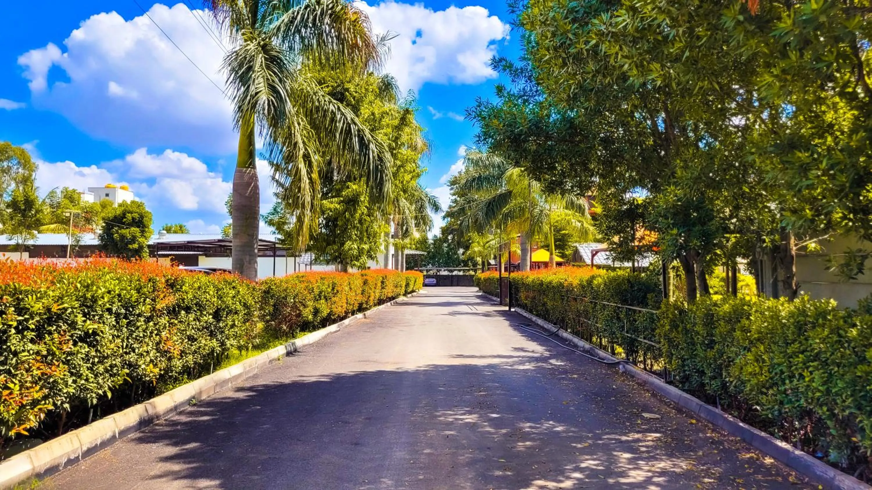 Street view in Vistar Resort & Hotels