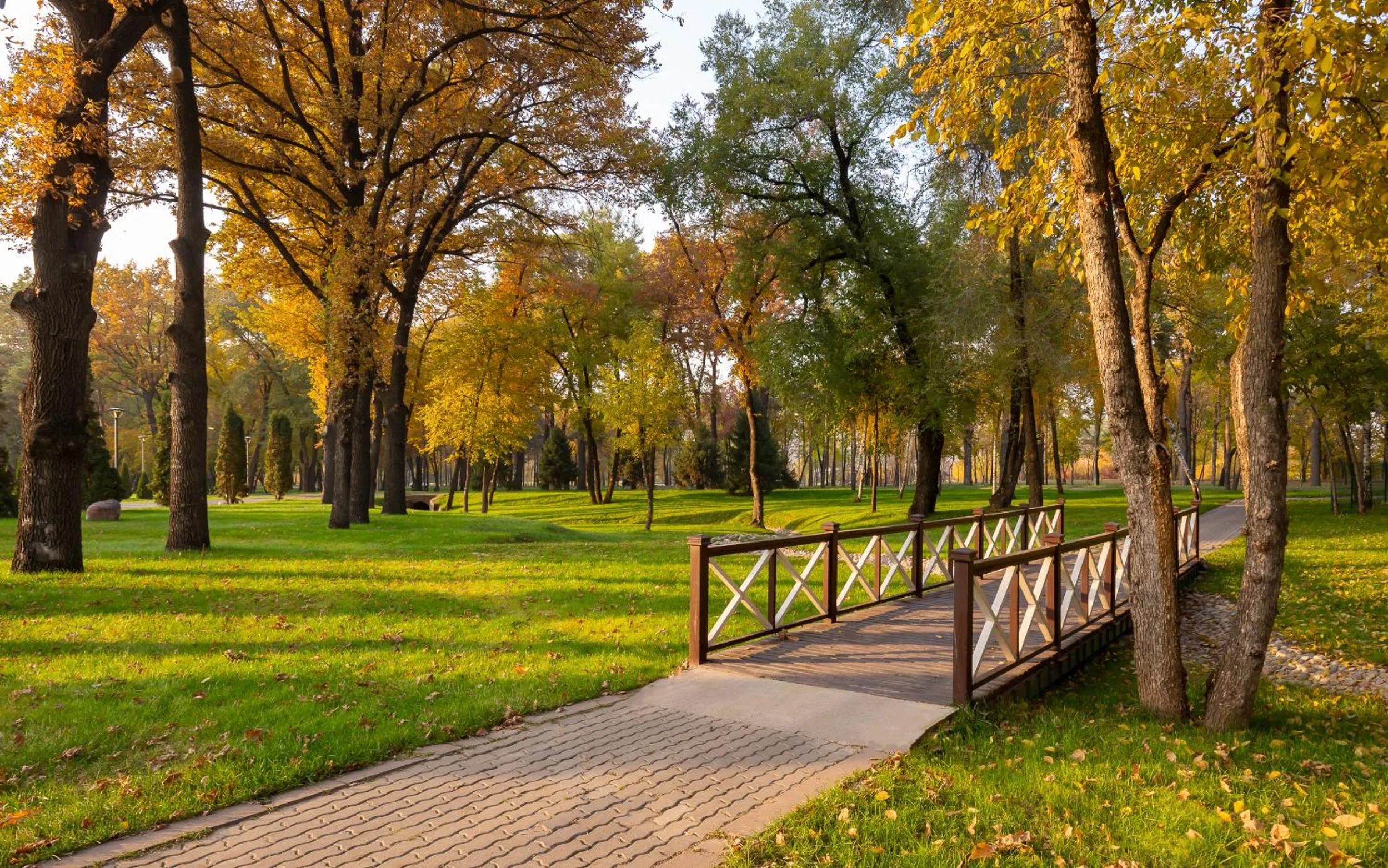 Natural landscape in Swissôtel Wellness Resort Alatau Almaty