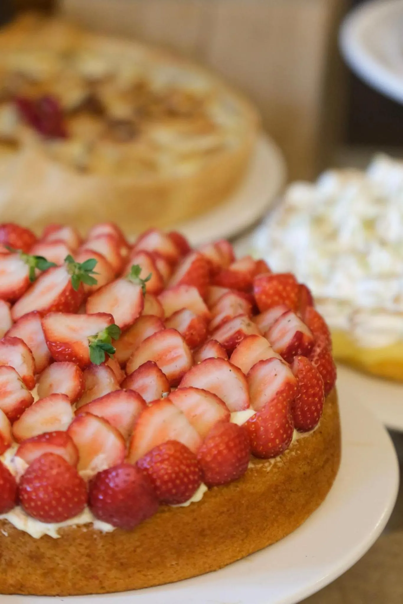 Restaurant/places to eat in Boutique Hotel SOCLO