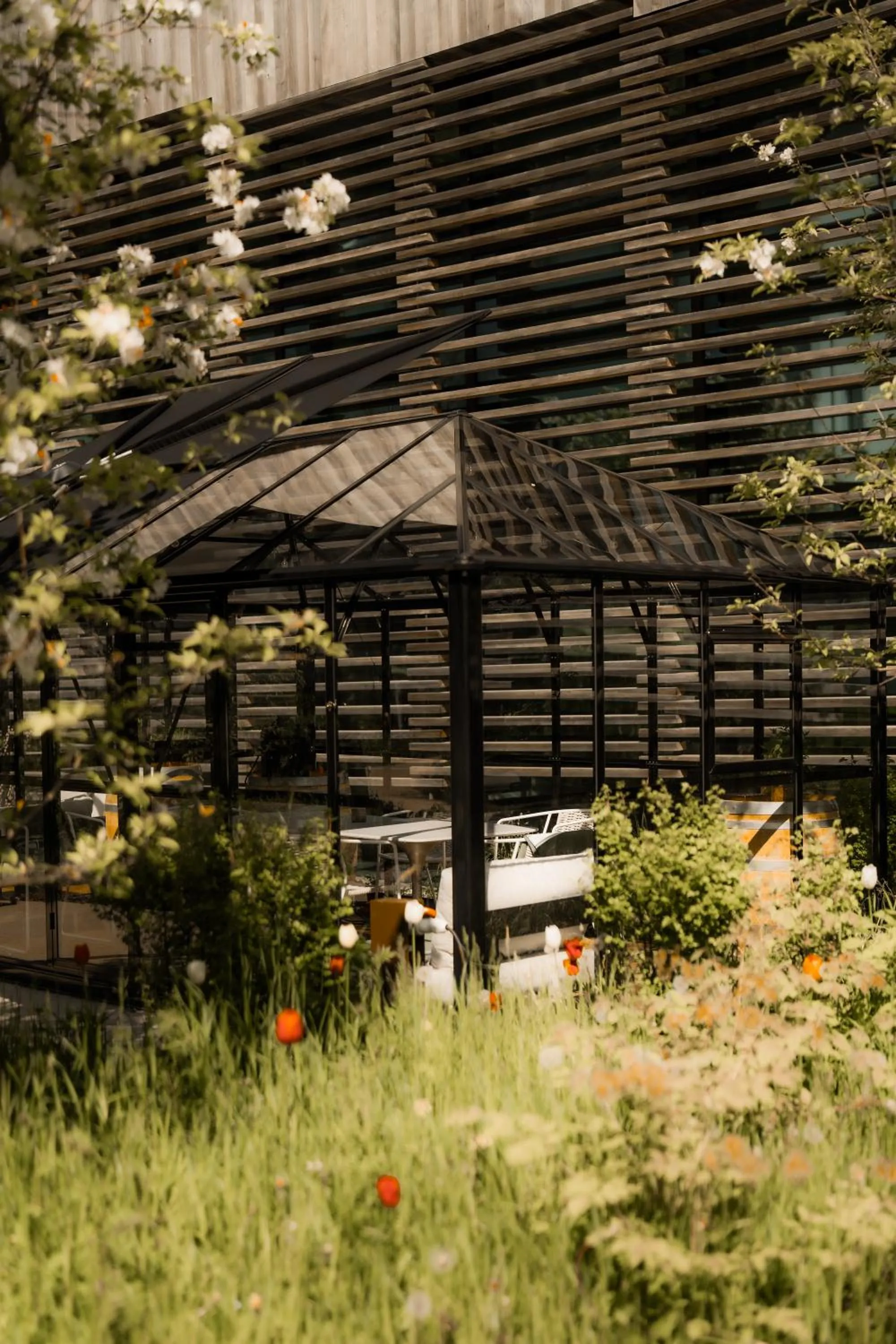 Garden in Hôtel des Horlogers