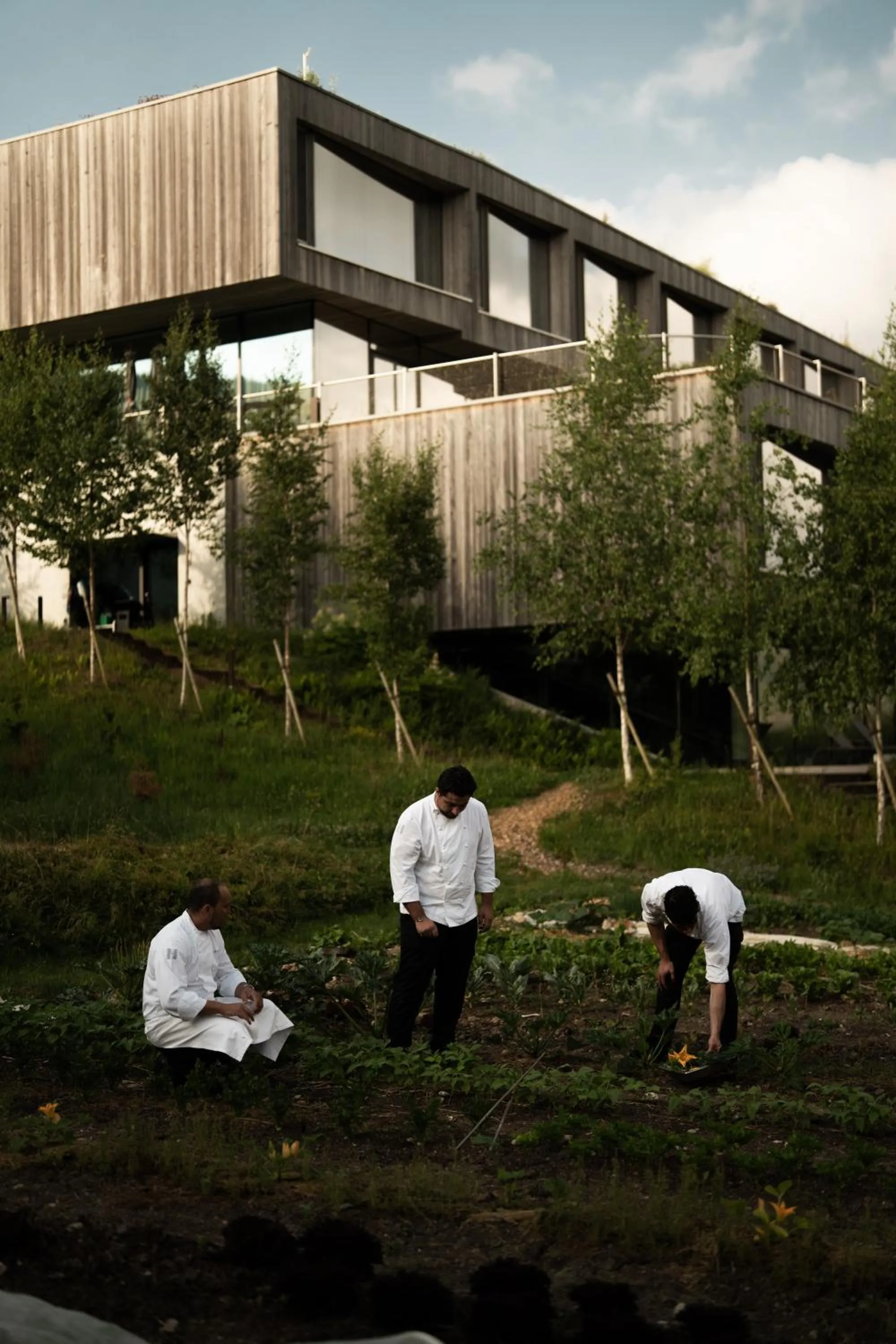 Food in Hôtel des Horlogers