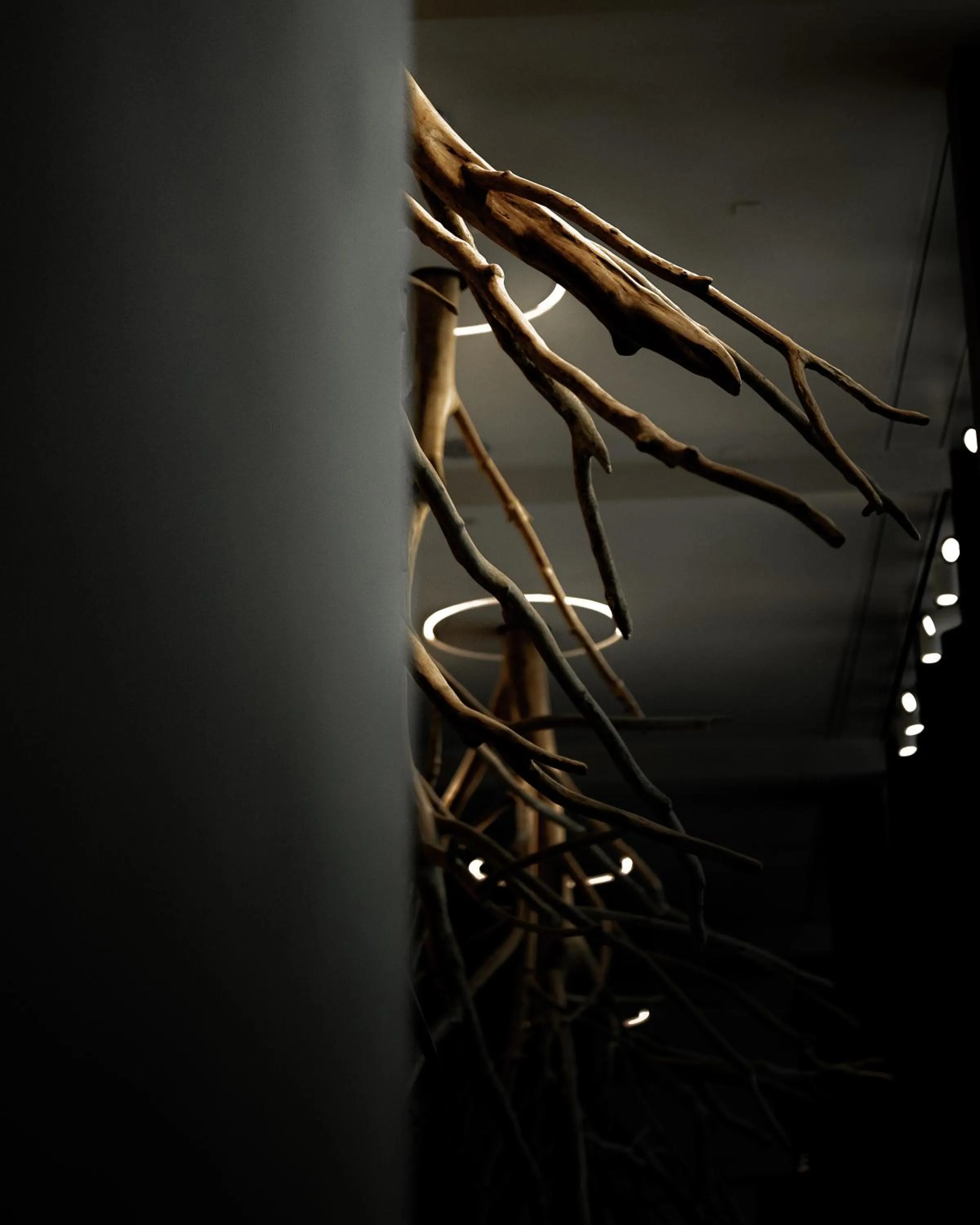 Decorative detail in Hôtel des Horlogers