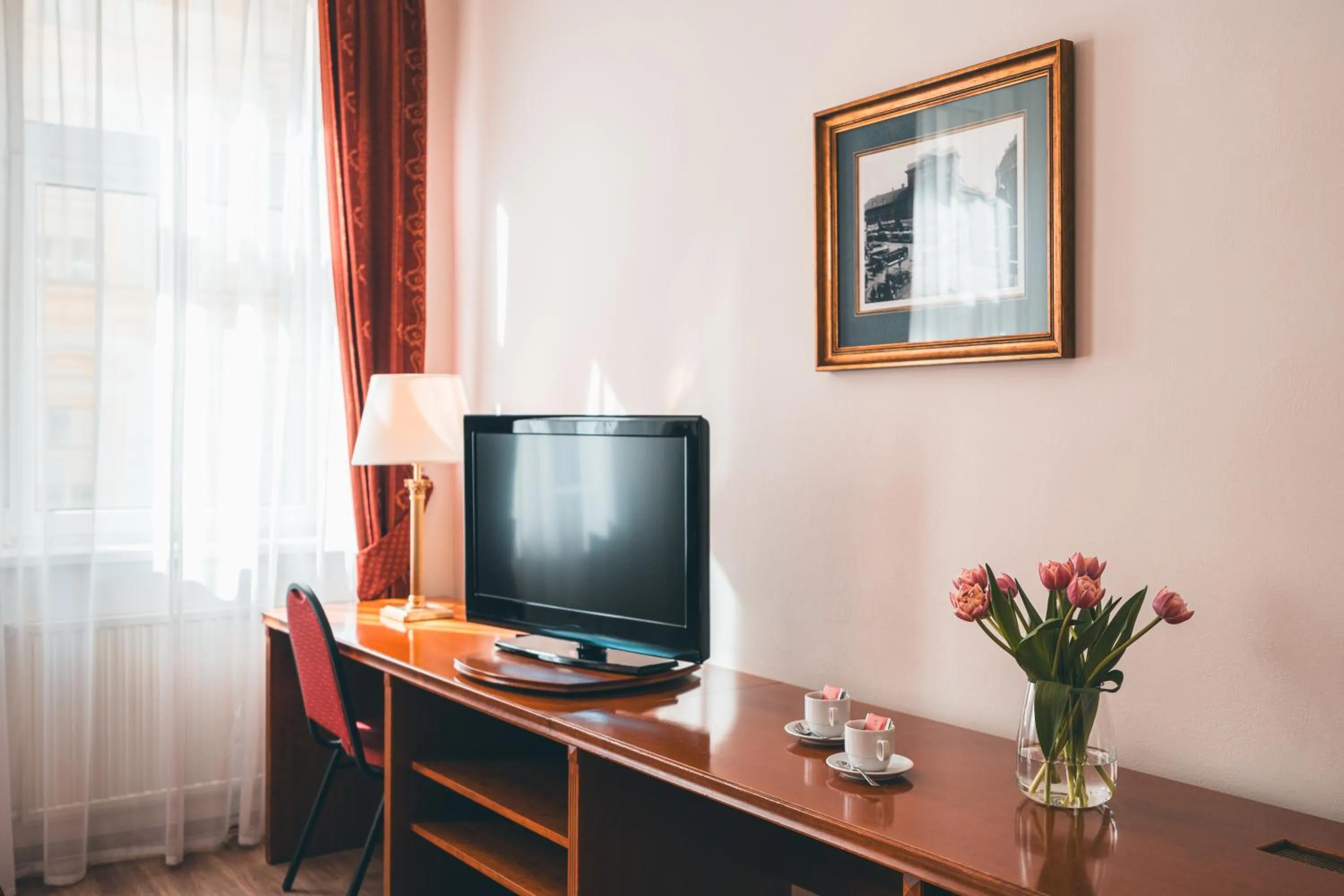 TV and multimedia in Hotel Ariston Prague