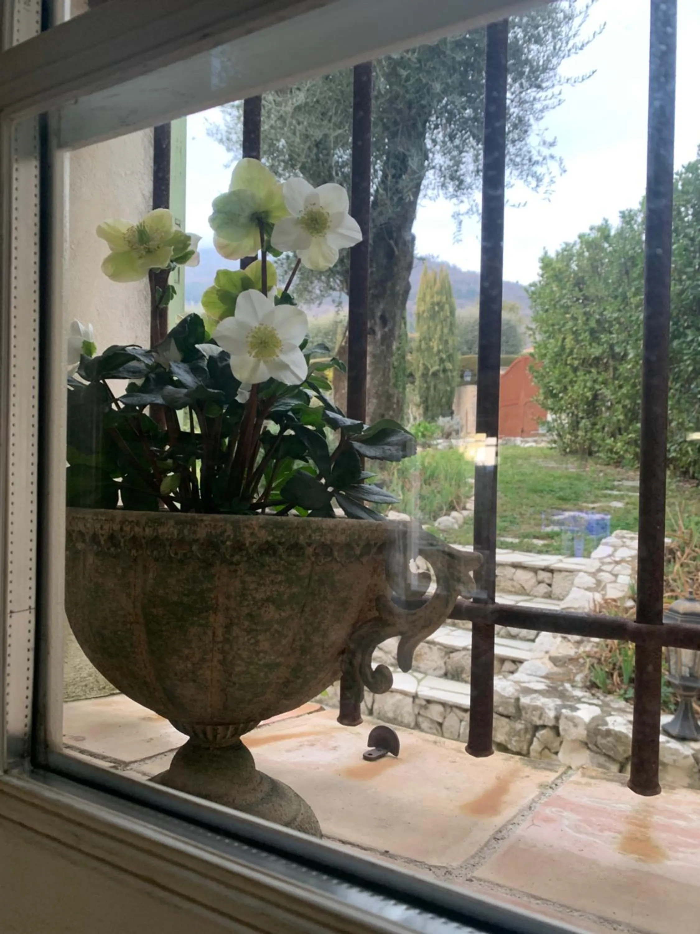 le mas des roses 1884