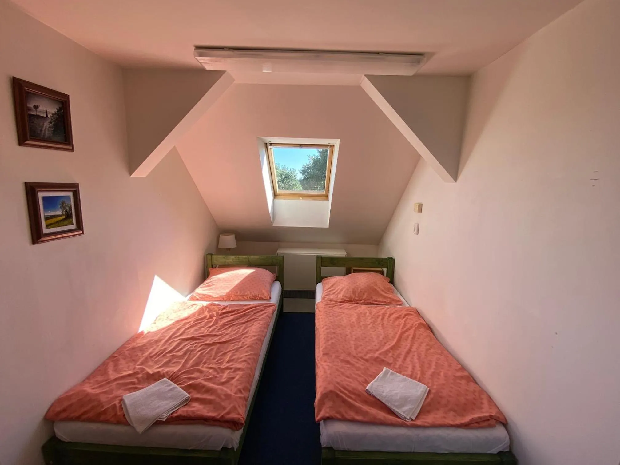 Twin Room in Chata Svinec