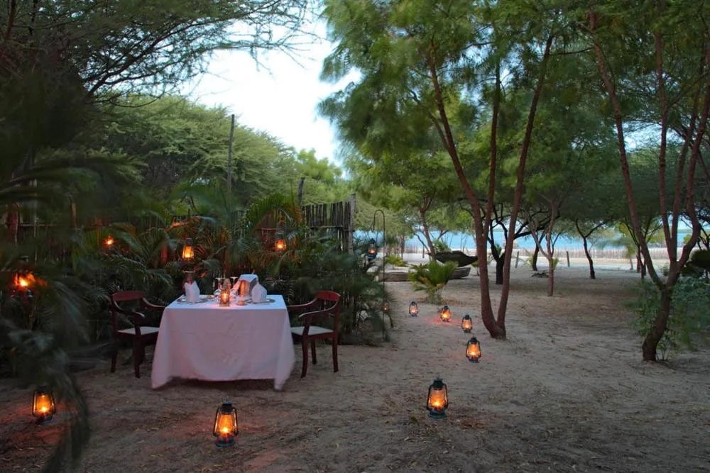 Garden in The Red Pepper House