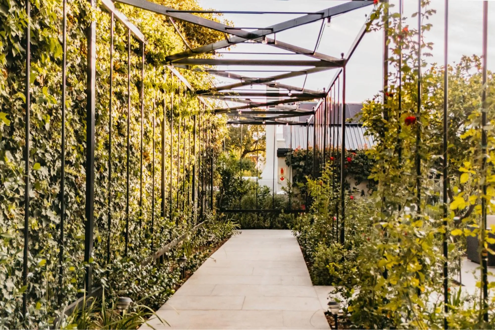 Garden in Macaron Boutique Guest House