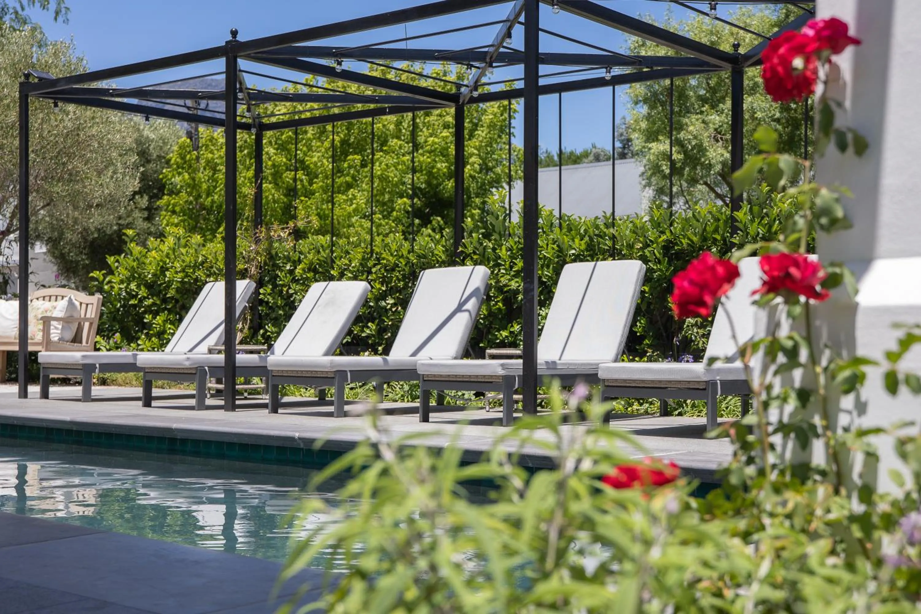 Swimming pool in Macaron Boutique Guest House