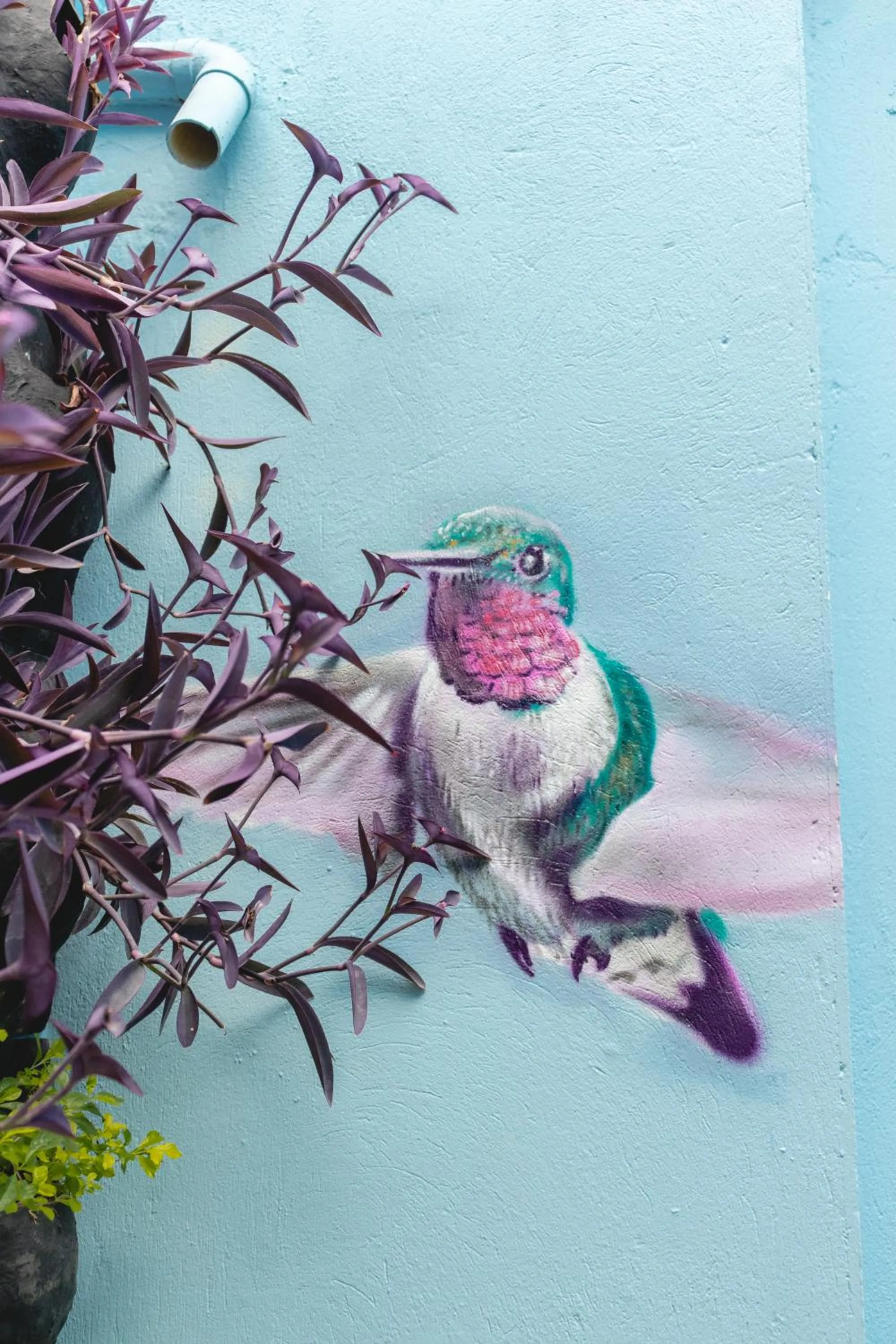 Property building in San Felicin Hostel