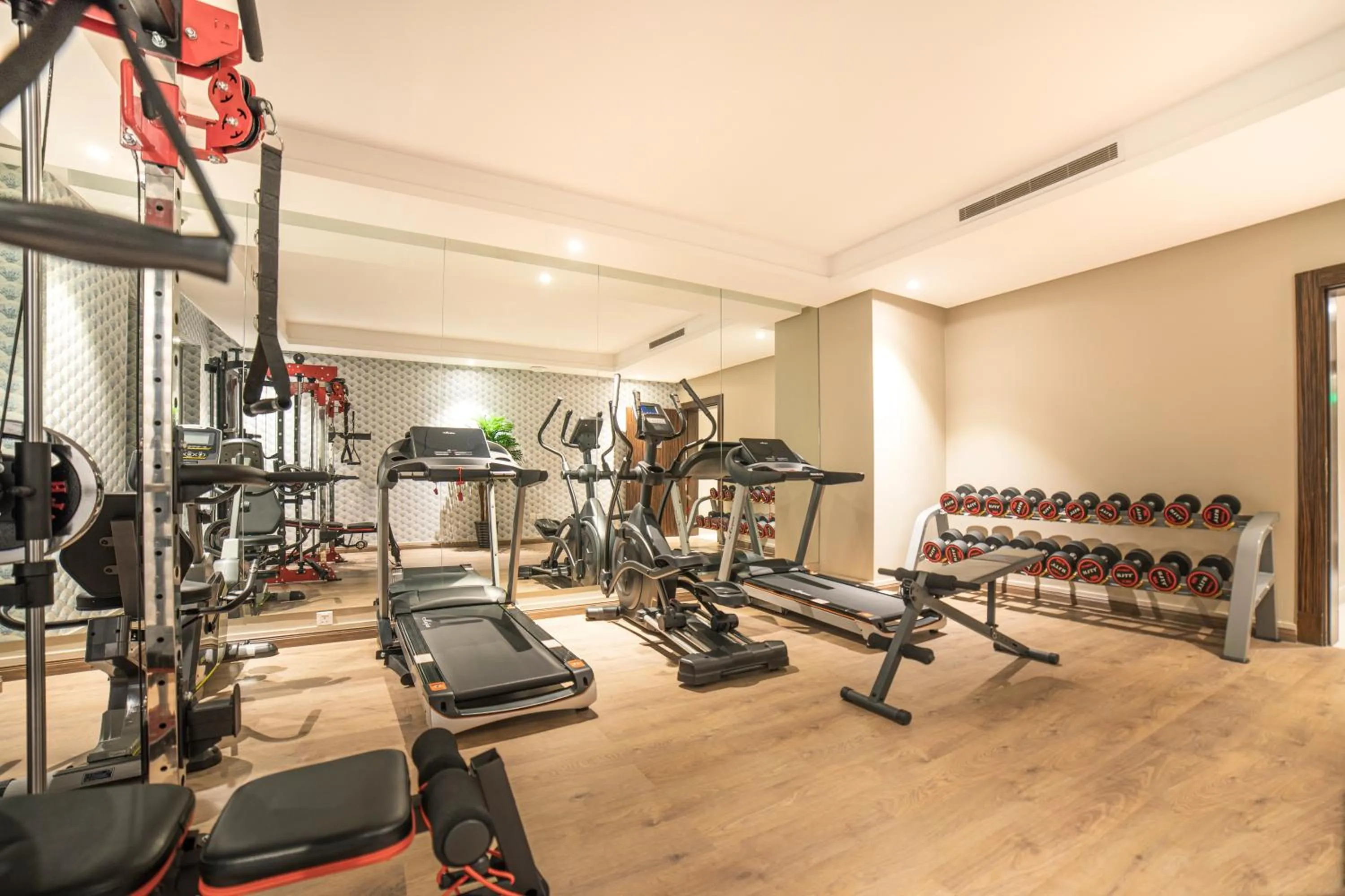 Fitness centre/facilities in Swiss Blue Hotel - Hera