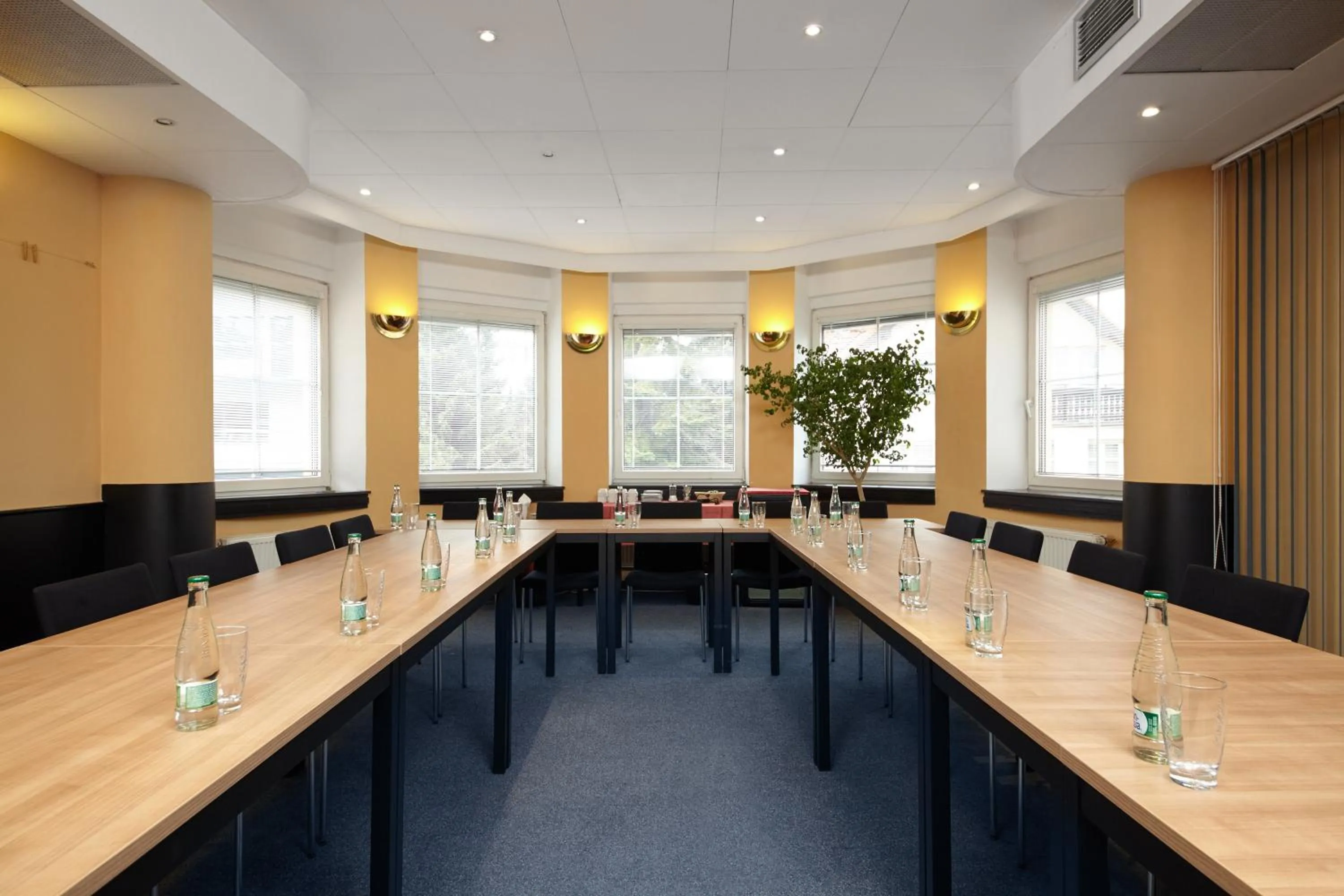 Banquet/Function facilities in Hotel Tulipan Pruhonice