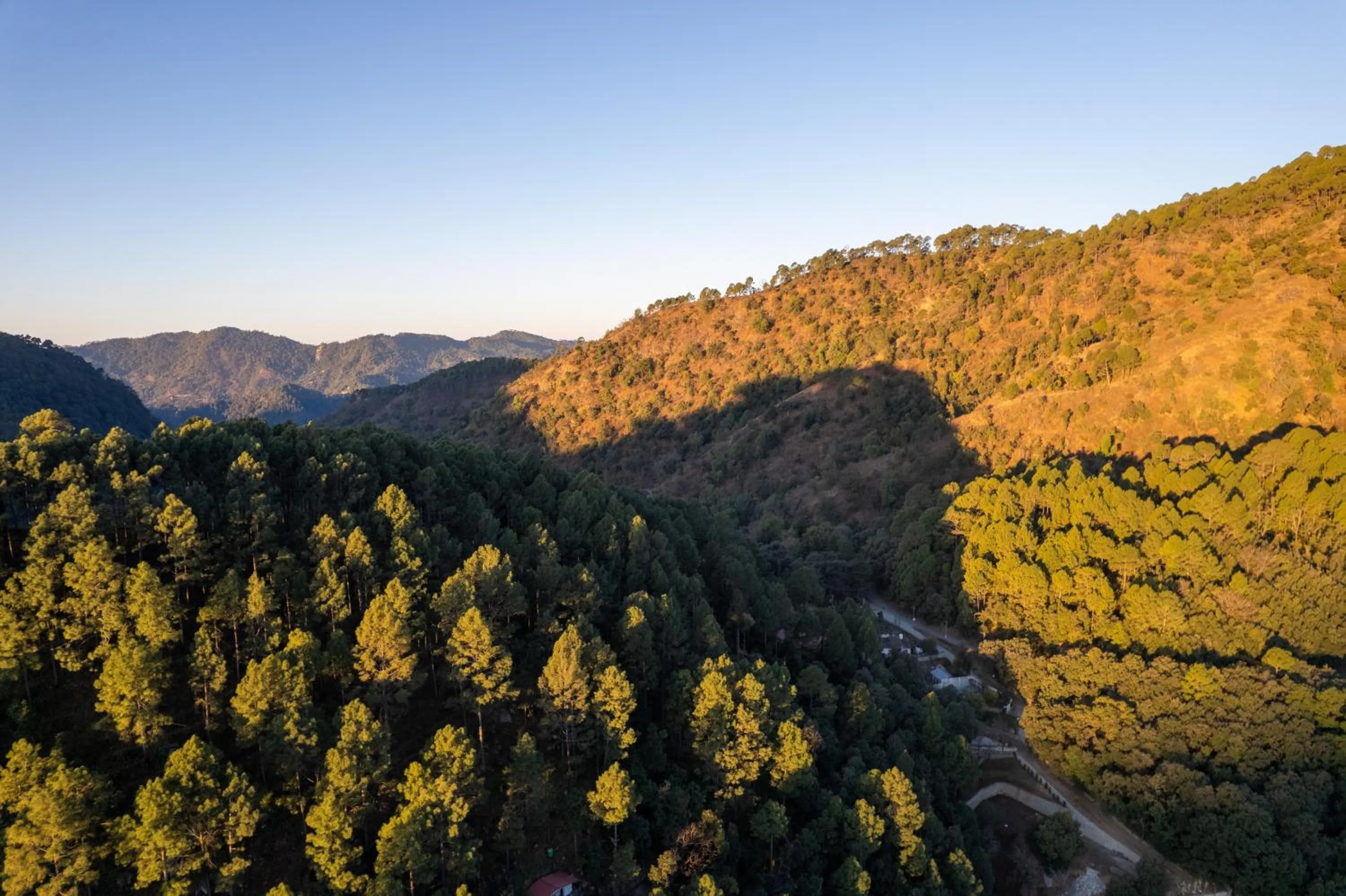 View (from property/room) in The Canadian Woods Resort