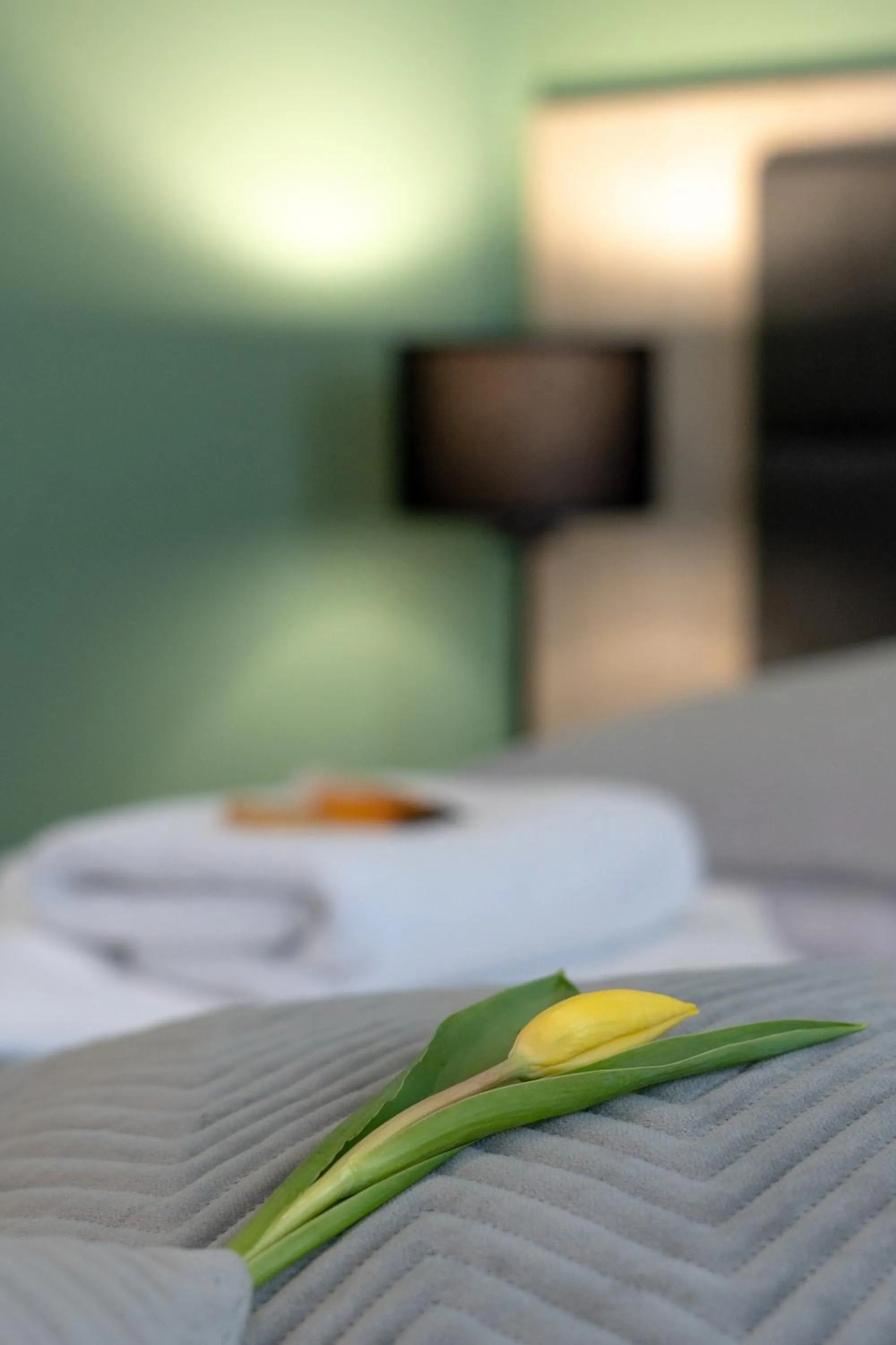 Bed in Hotel w Dobieszkowie