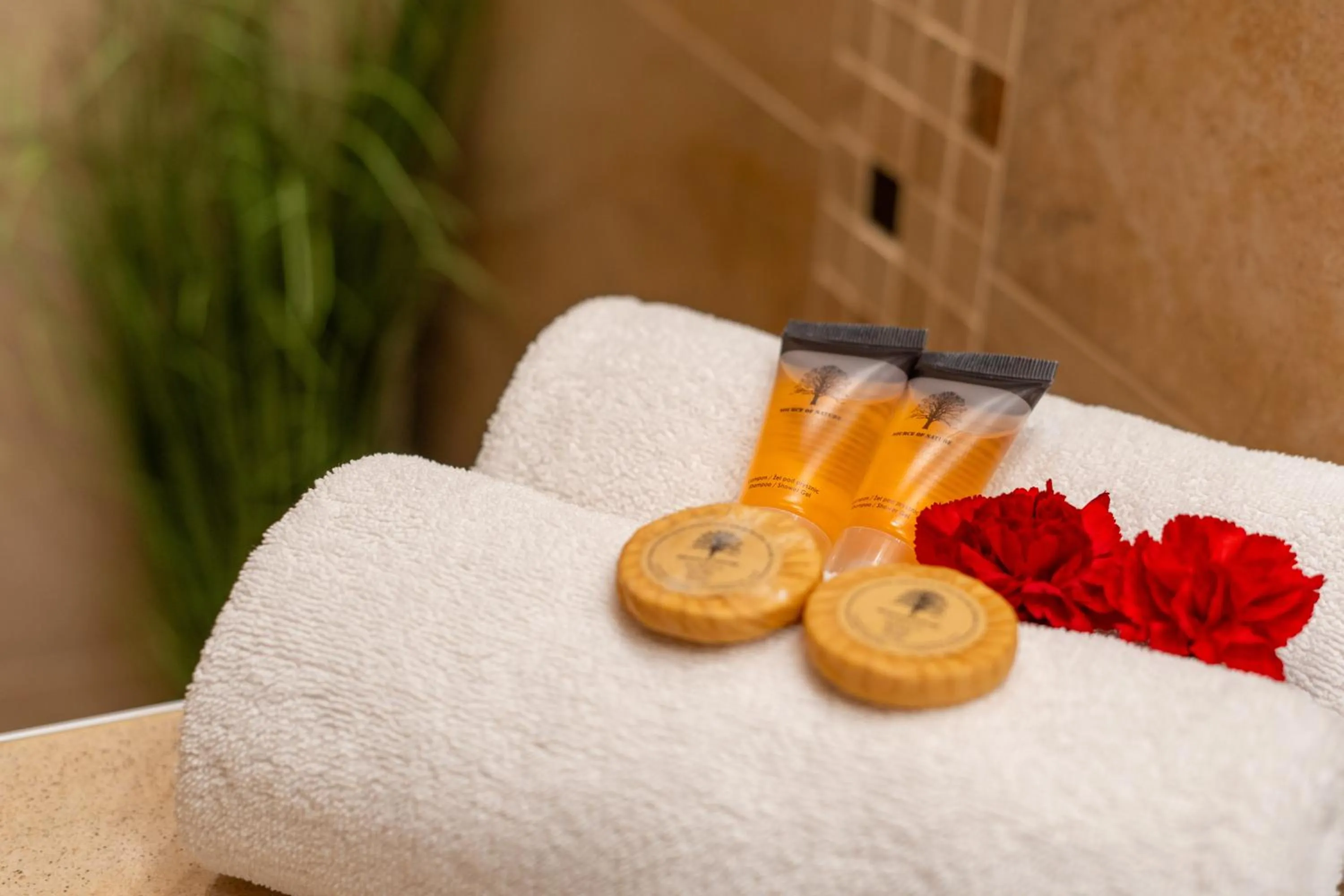 Hotel w Dobieszkowie