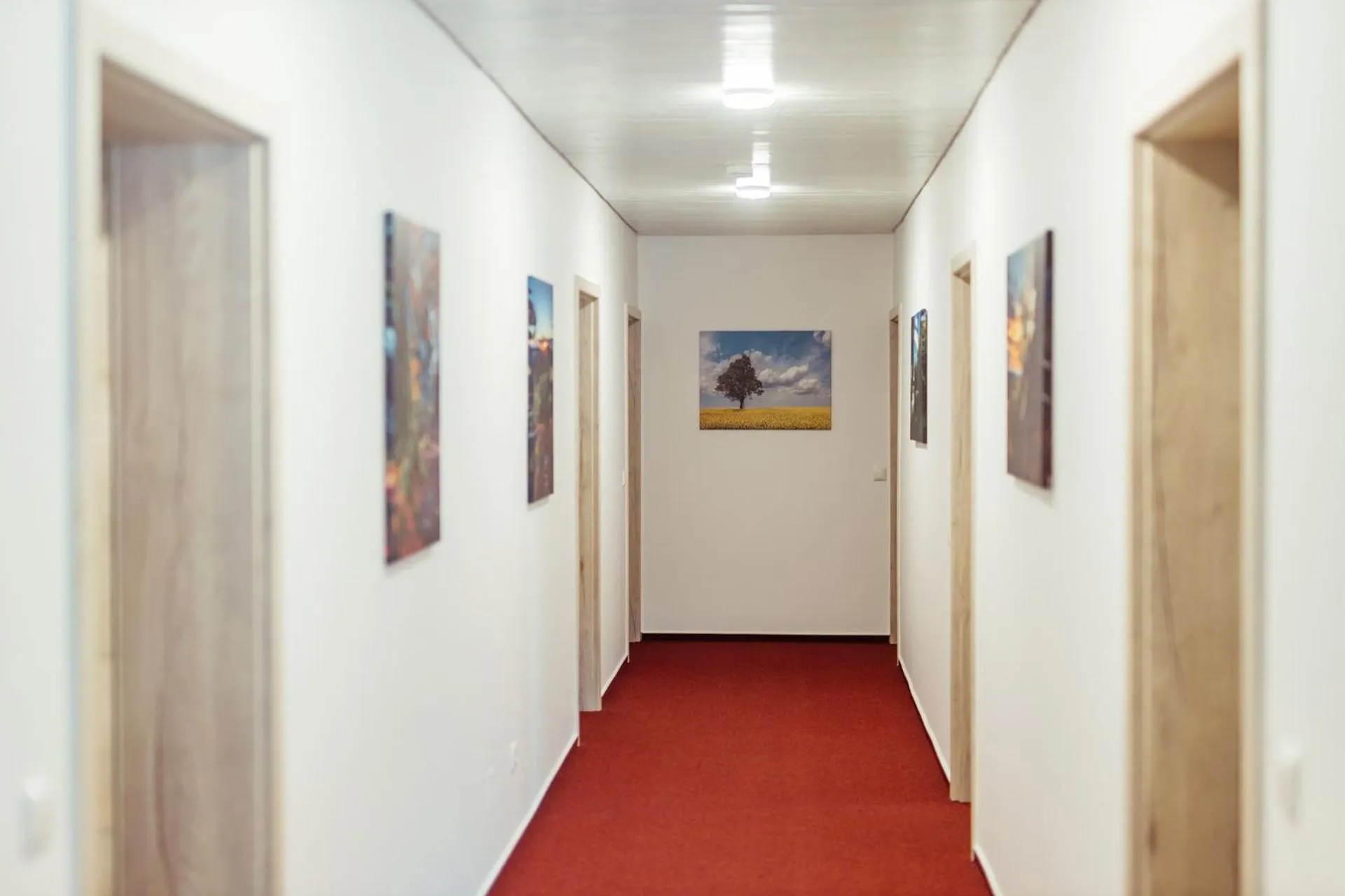 Property building in Das Arni´s