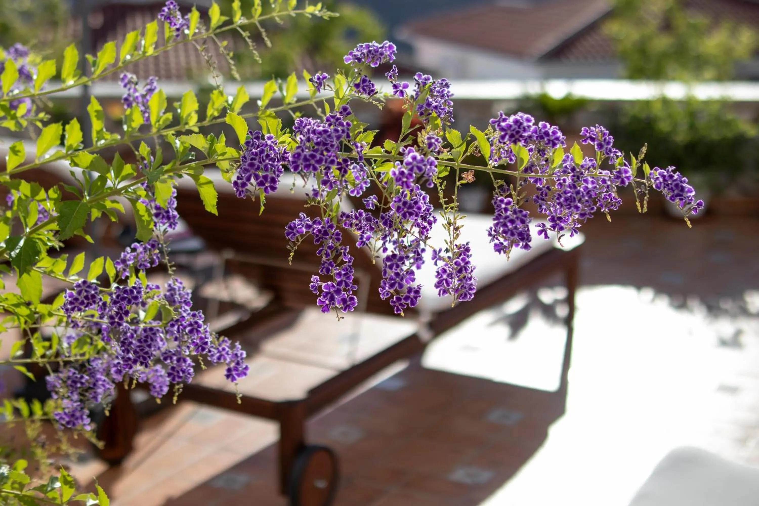 Balcony/Terrace in Malaga Hills Double Comfort Boutique & Wellness Eco-Hotel -Adults Only-