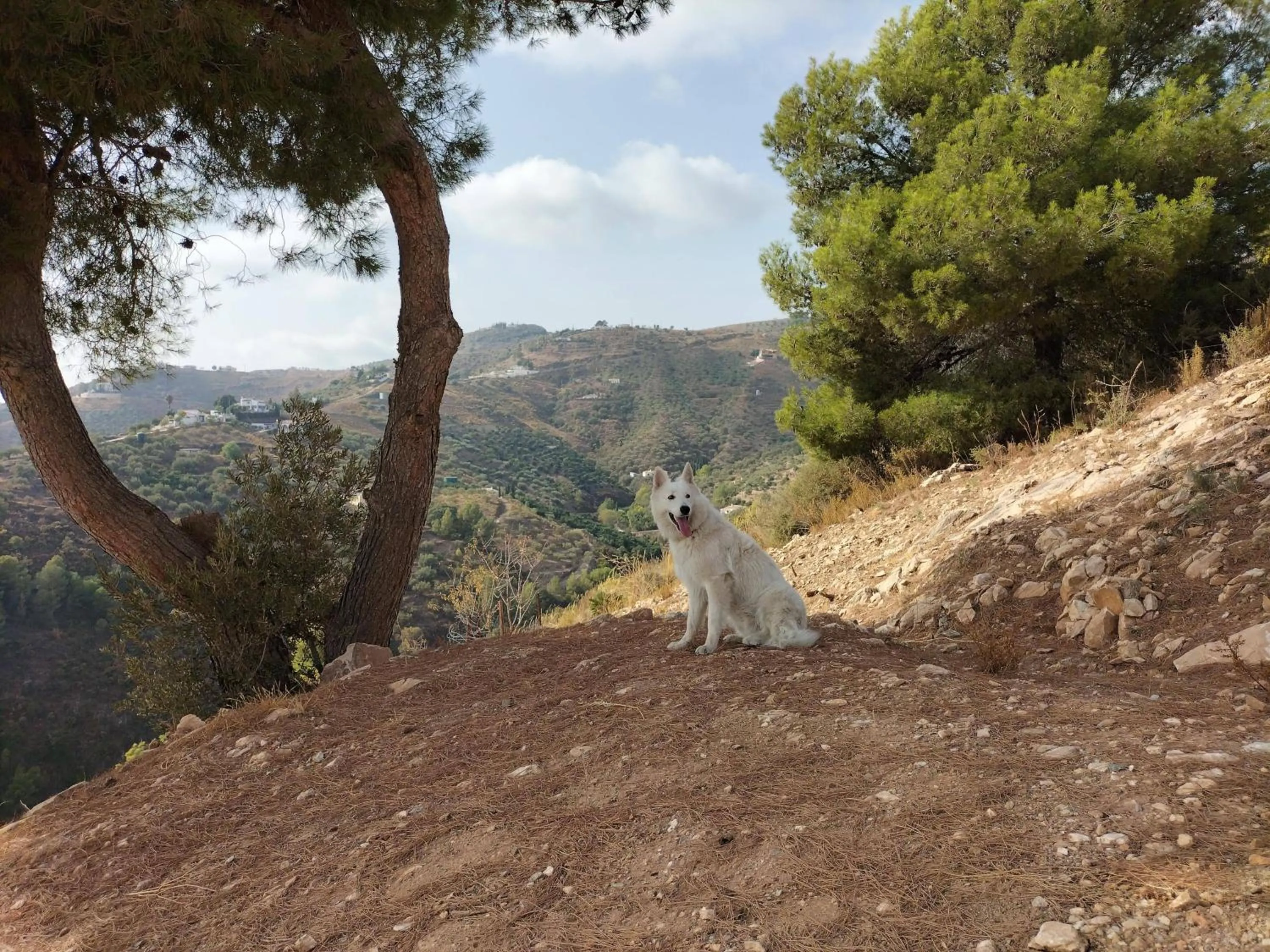 Hiking in Malaga Hills Double Comfort Boutique & Wellness Eco-Hotel -Adults Only-