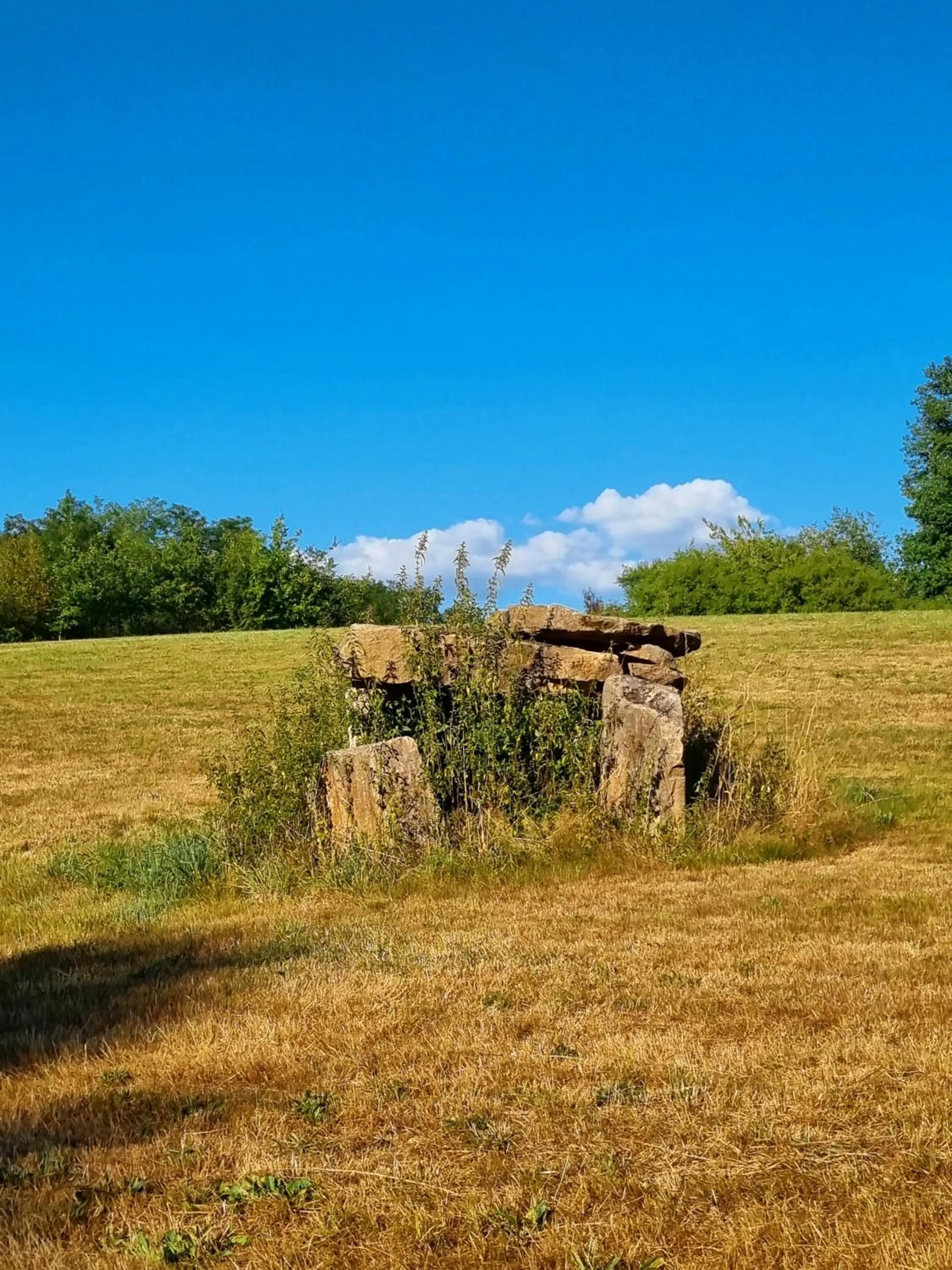 Garden in LE DOMAINE DU SENS