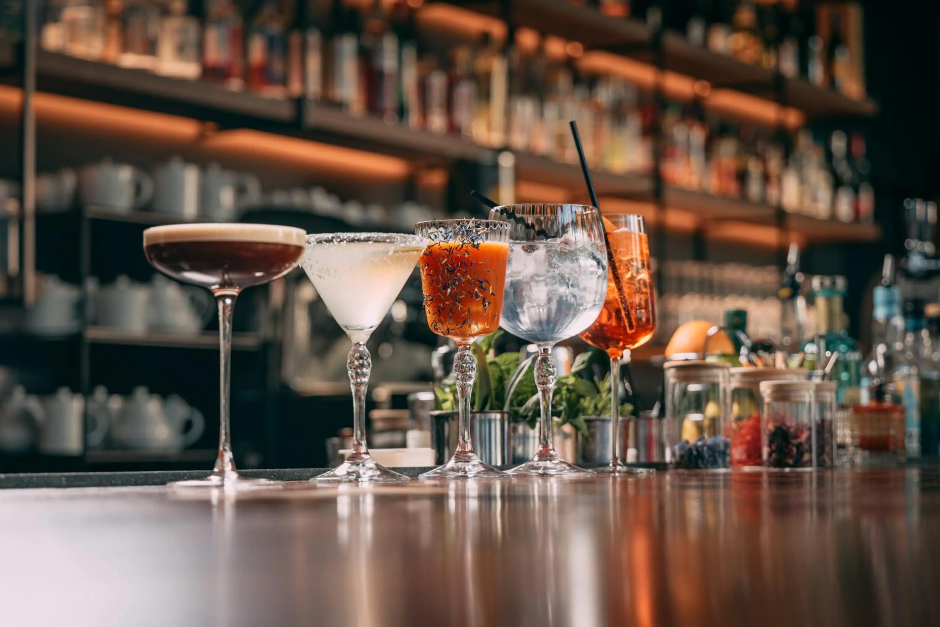 Lounge or bar in Hôtel LÉONOR the place to live