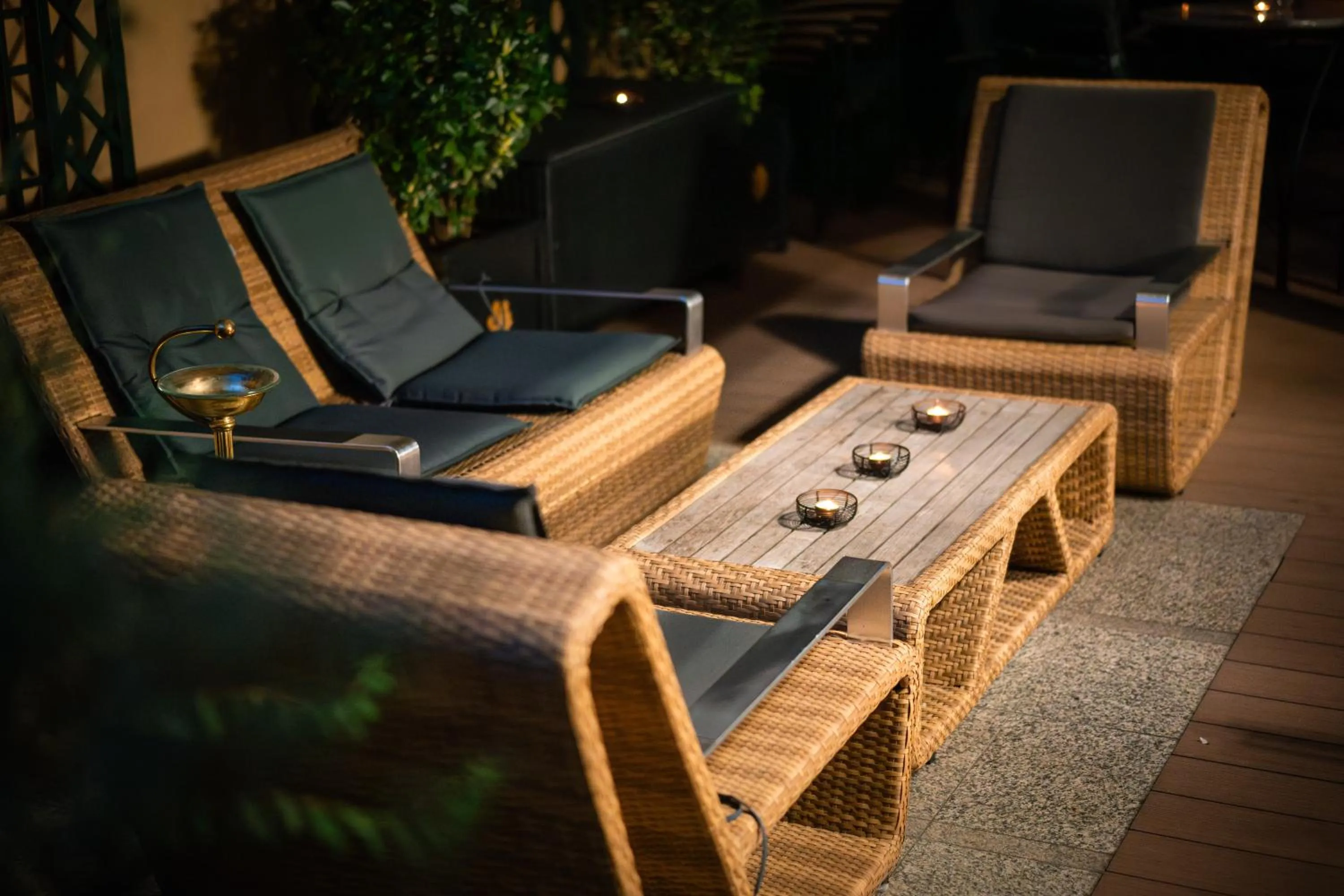 Garden in Hotel Liberty