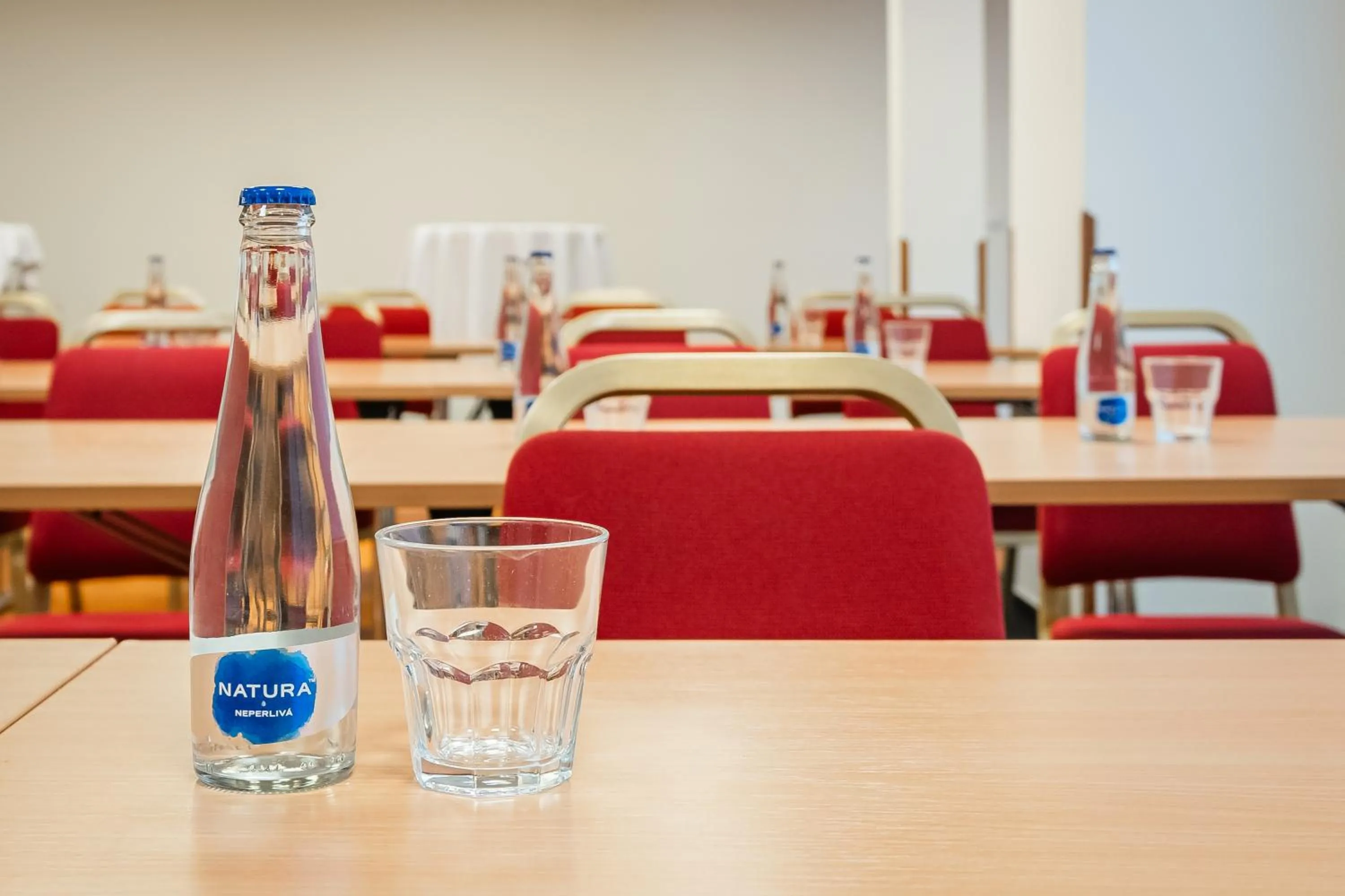 Meeting/conference room in Hotel Globus