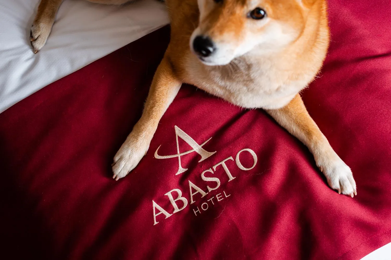 Photo of the whole room in Abasto Hotel Dachau