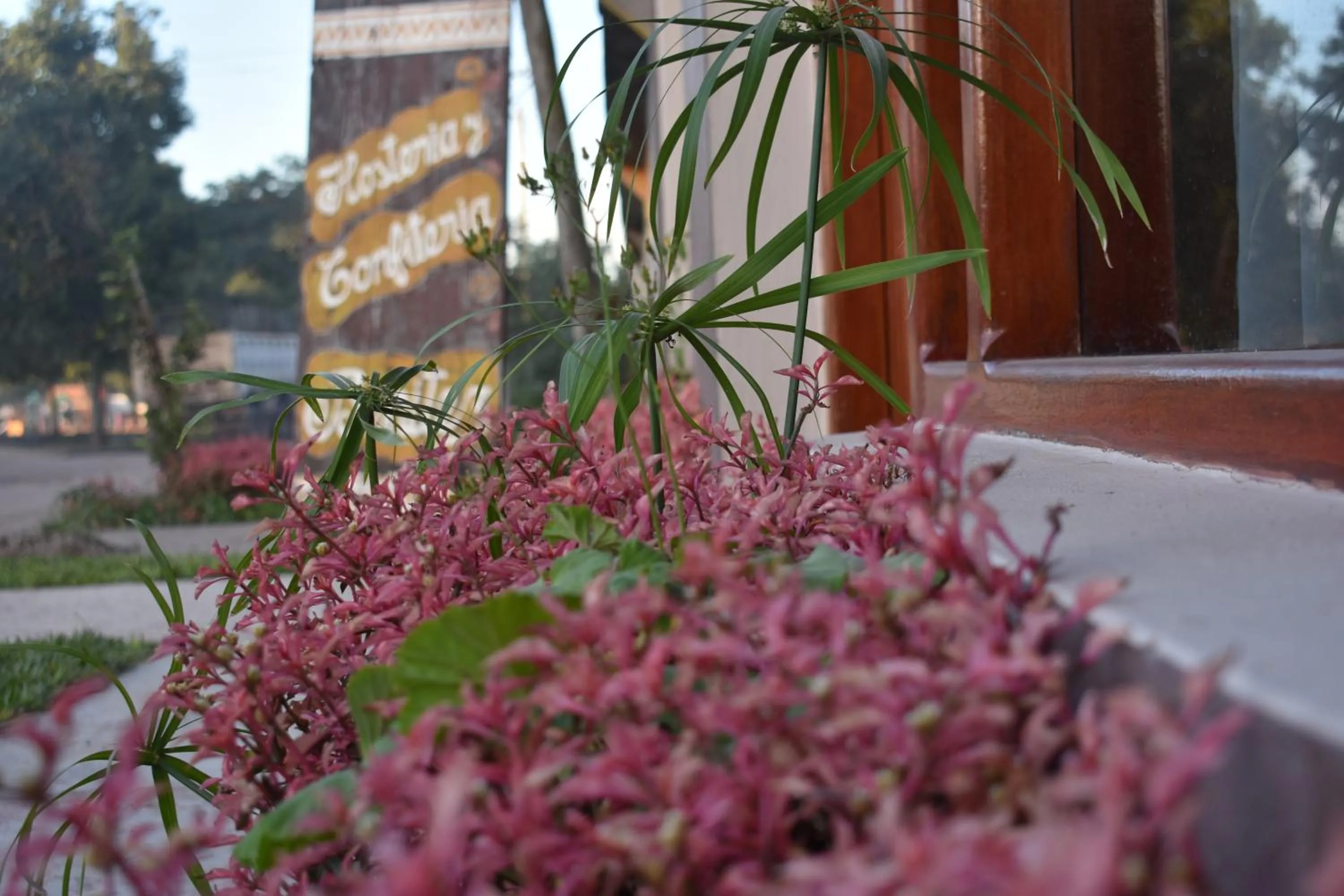 Property building in Benitez Hostería