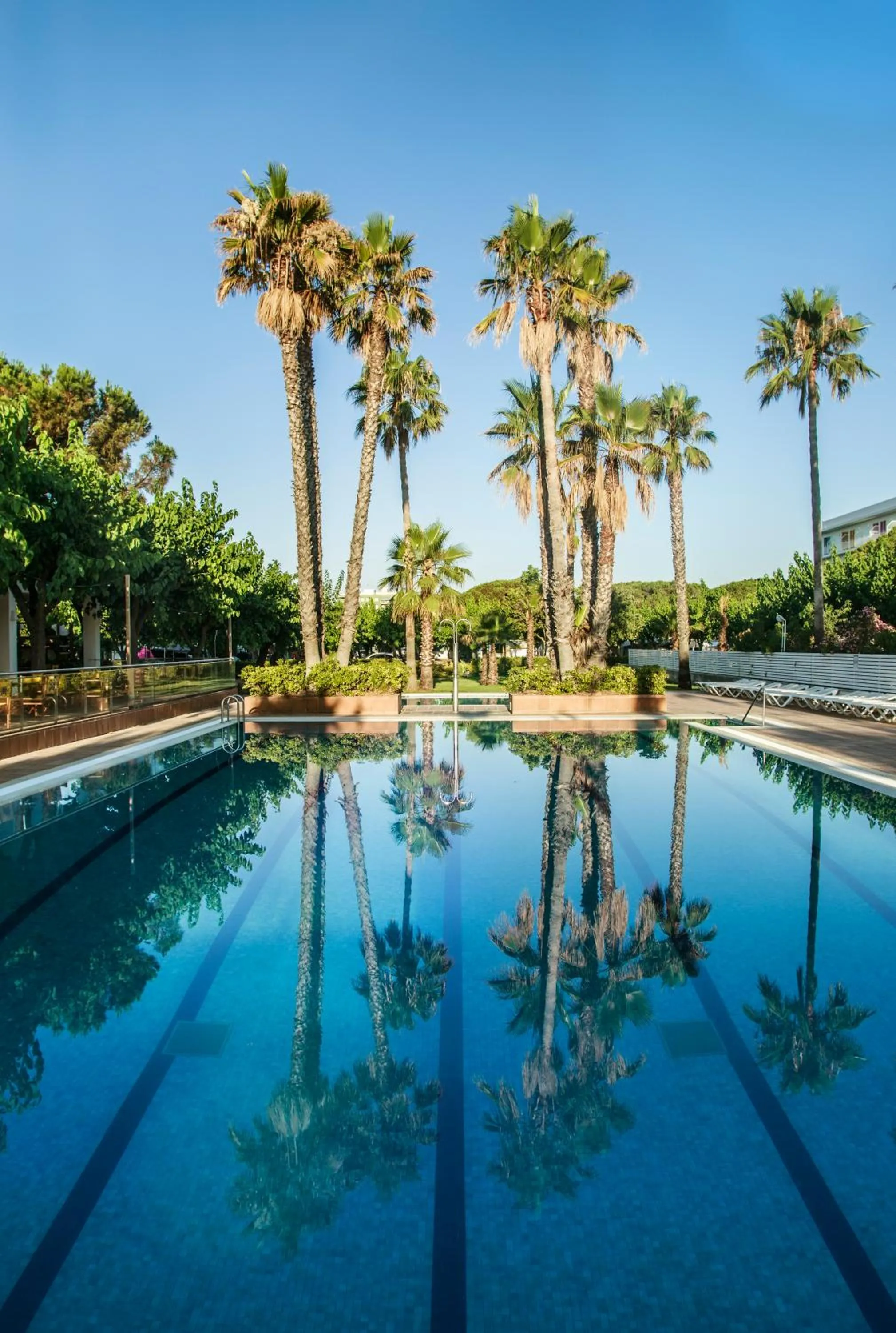 Swimming pool in Camping Bellsol Pets