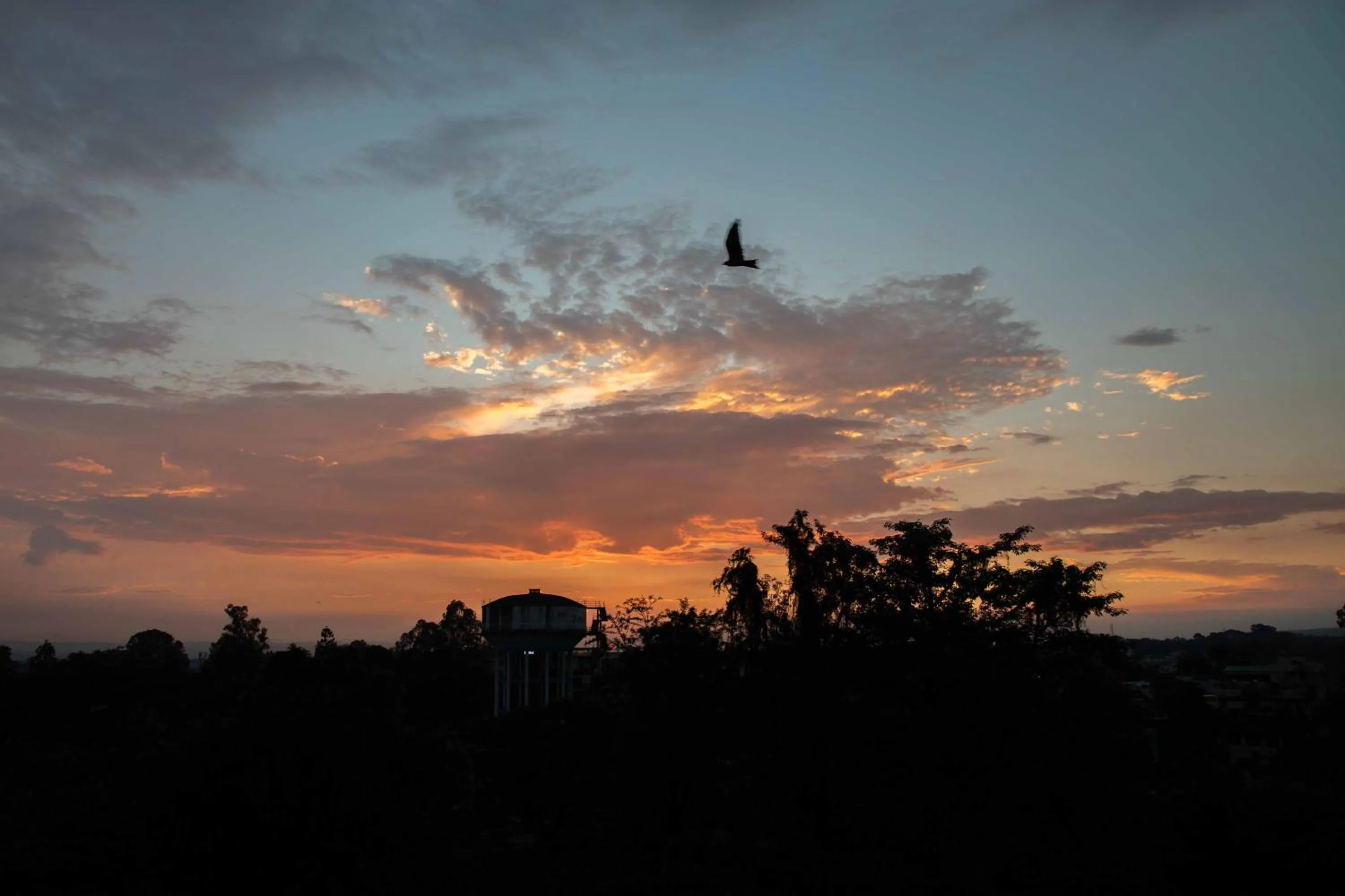 View (from property/room) in Hotel Alaya