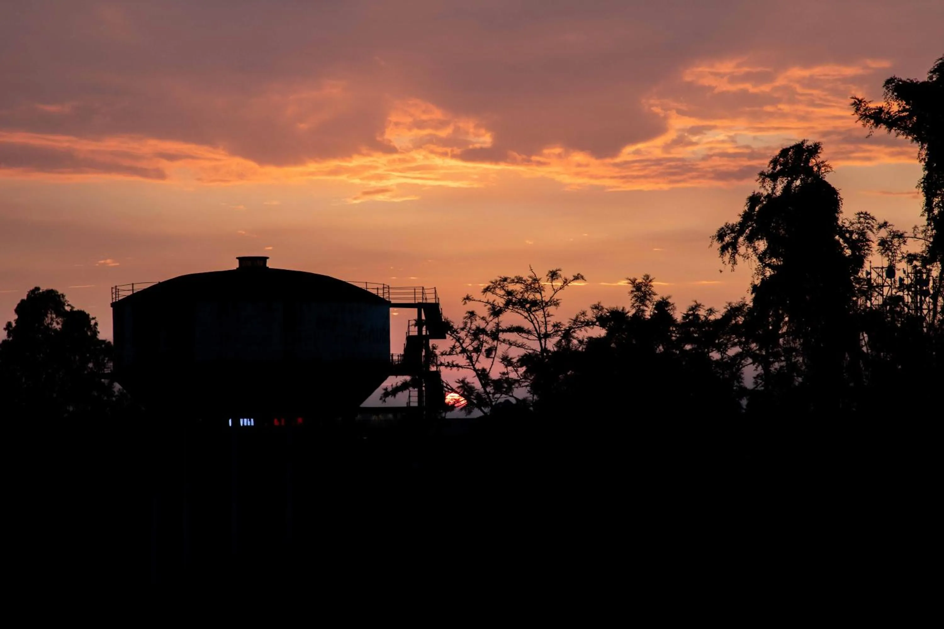 View (from property/room) in Hotel Alaya