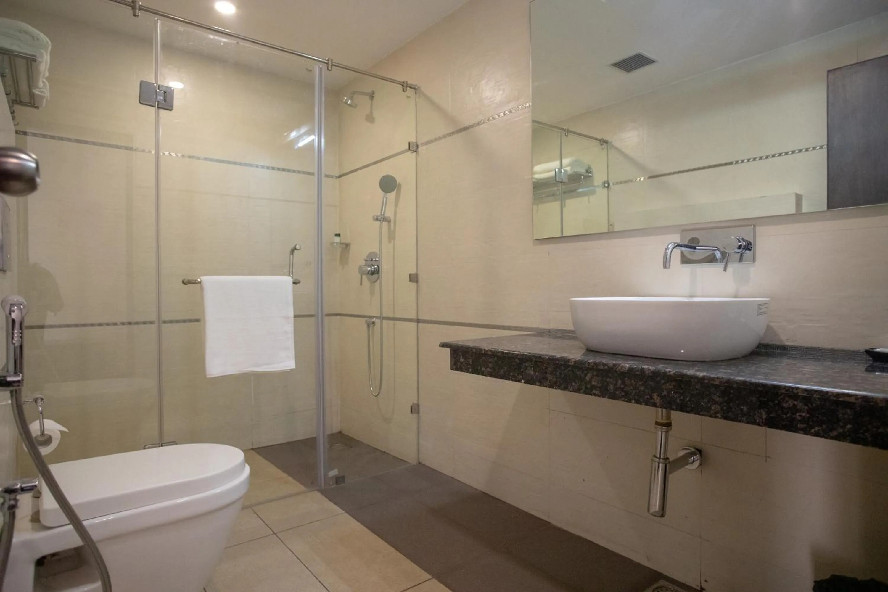 Bathroom in Hotel Alaya