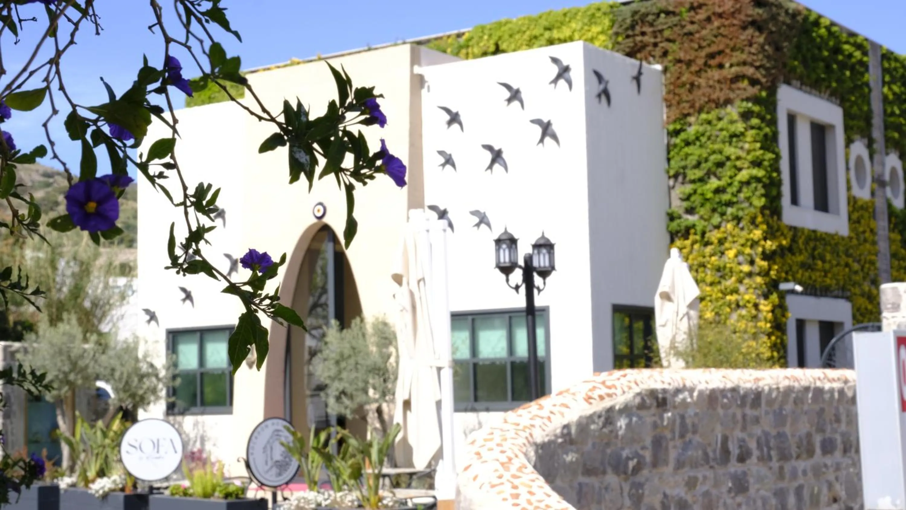 Property building in Kocadon Hotel